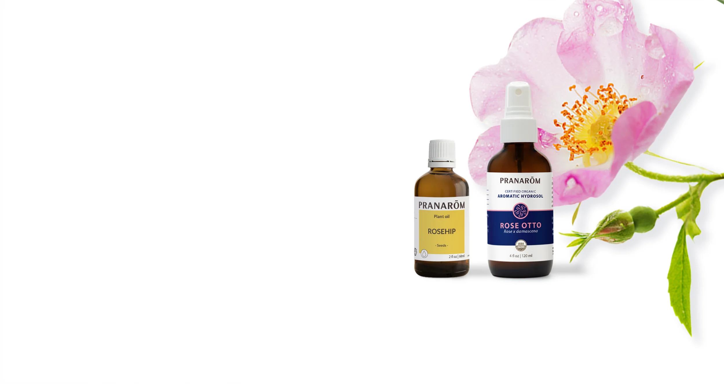 Pure Botanical Wellness and Style