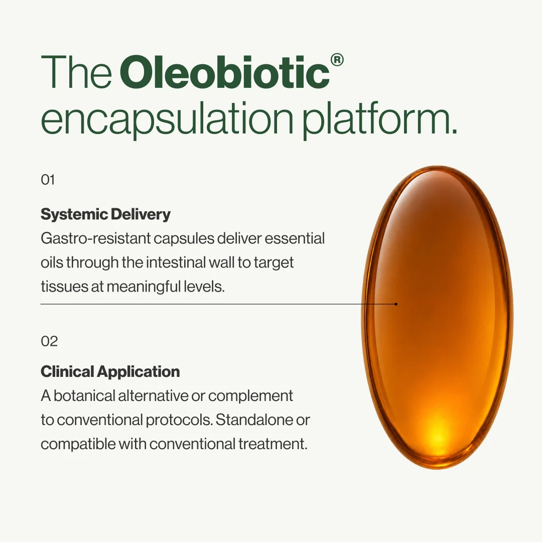 AromaGI Oleobiotic® + Star Anise - Image 3
