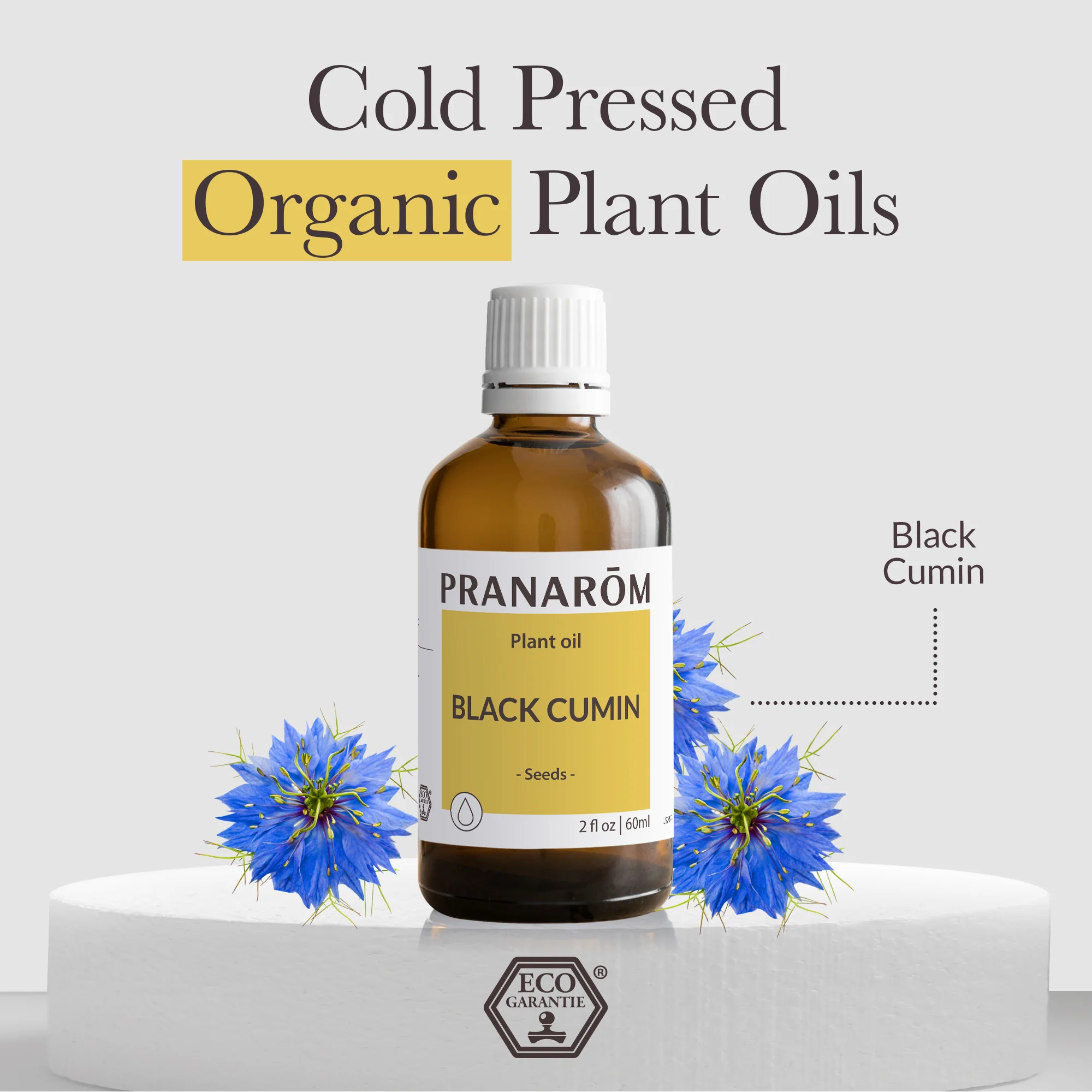 Black Cumin Virgin Plant Oil - Bio - Image 3