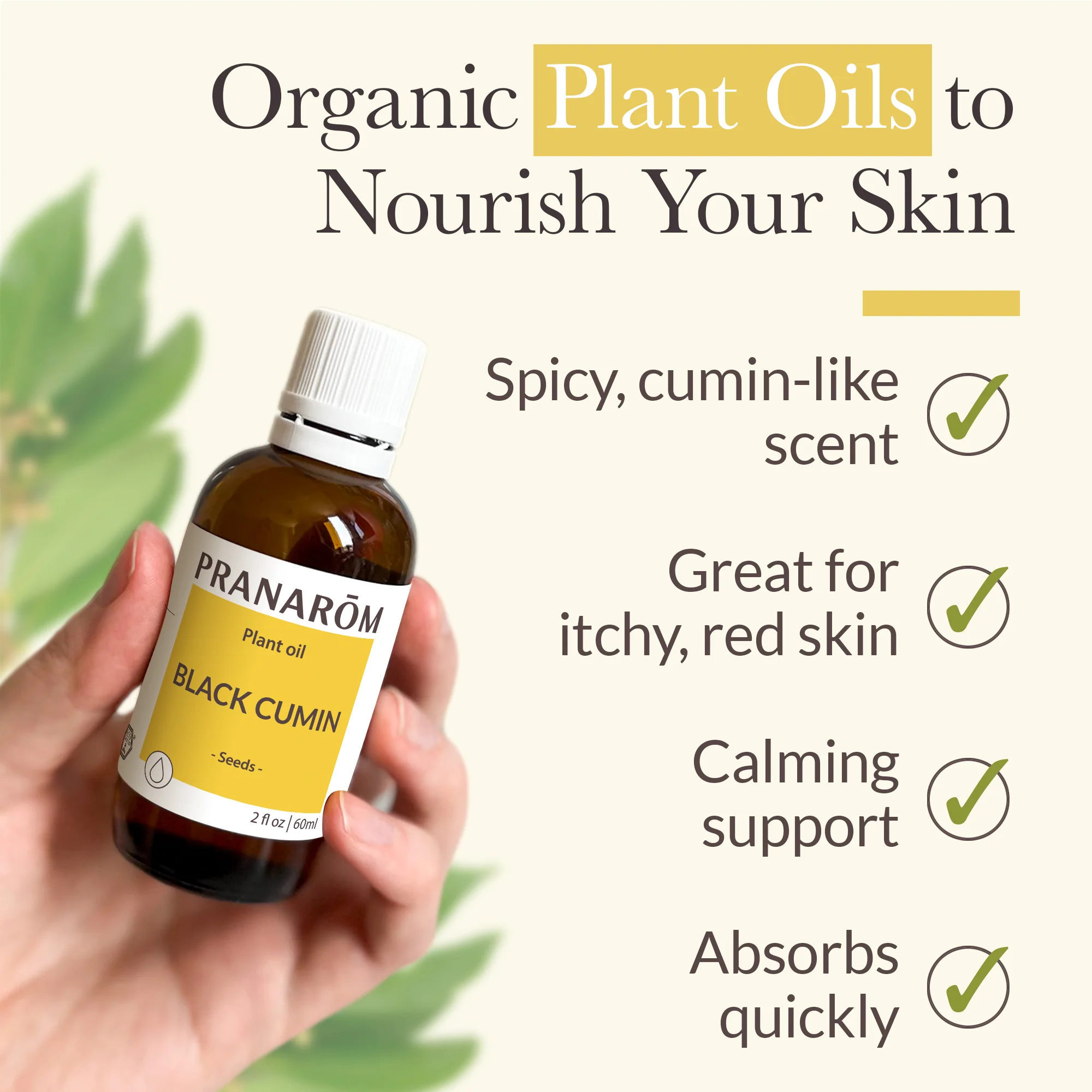Black Cumin Virgin Plant Oil - Bio - Image 4