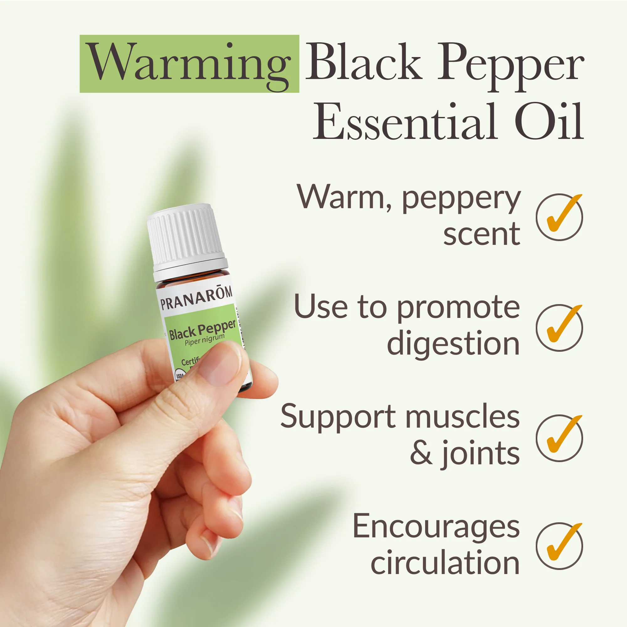 Black Pepper Essential Oil - Bio - Image 4