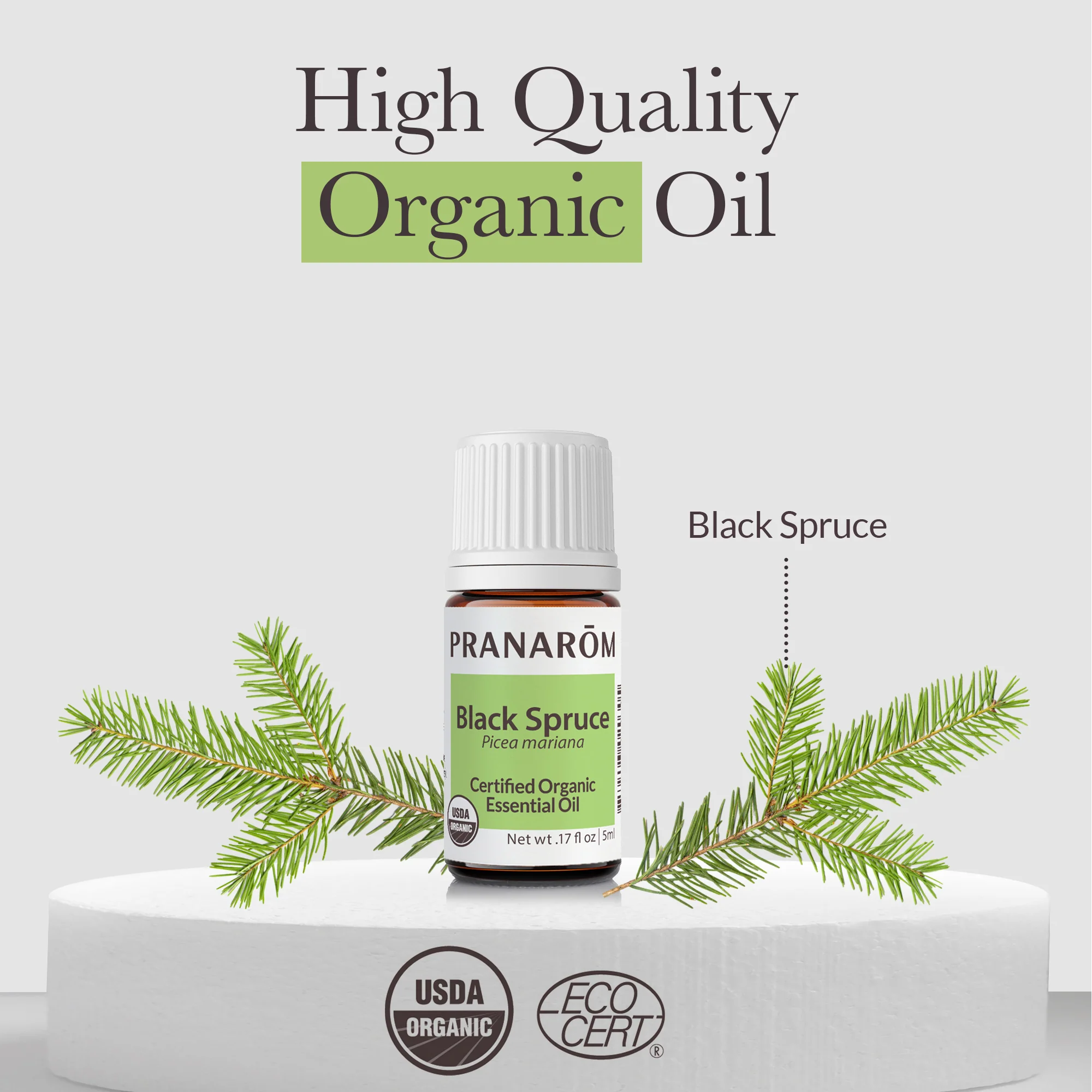 Black Spruce Essential Oil - Bio - Image 3