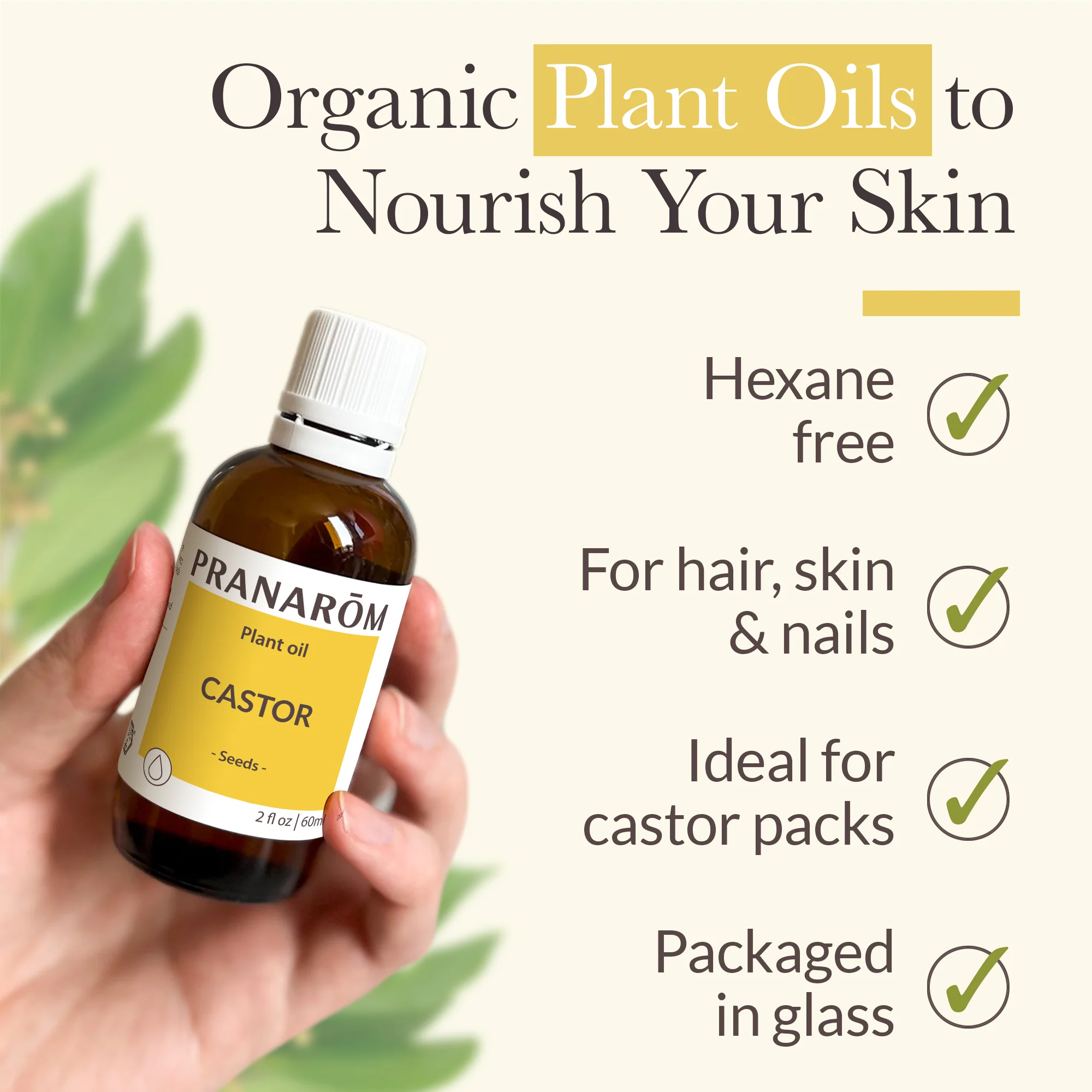 Castor Virgin Plant Oil - Bio - Image 3