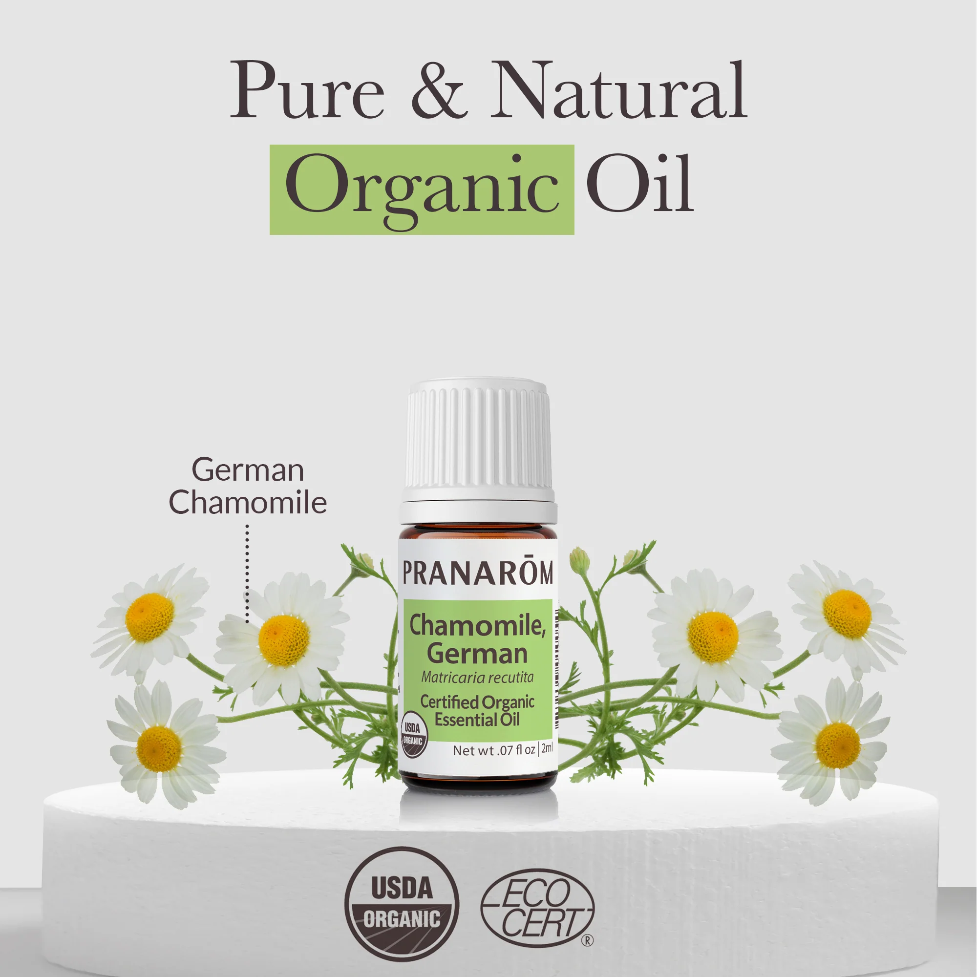 Chamomile, German Essential Oil - Bio - Image 3