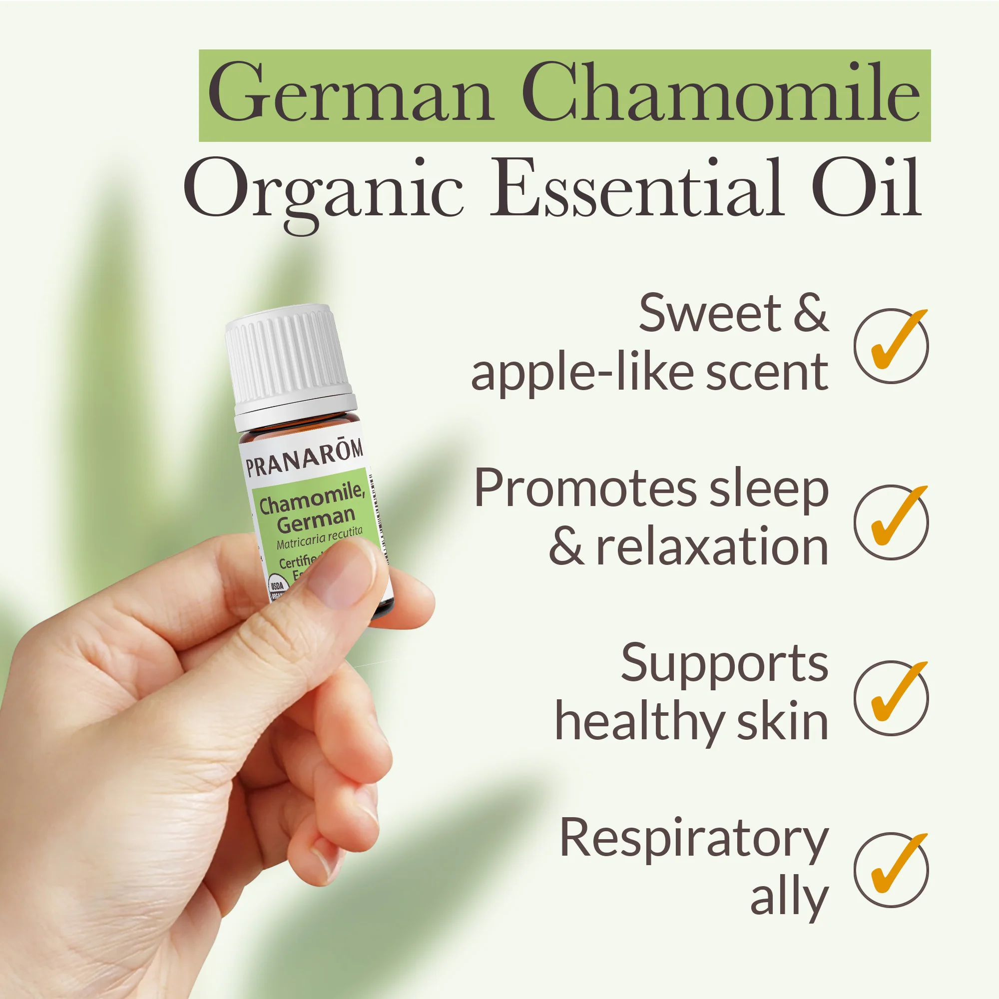 Chamomile, German Essential Oil - Bio - Image 4