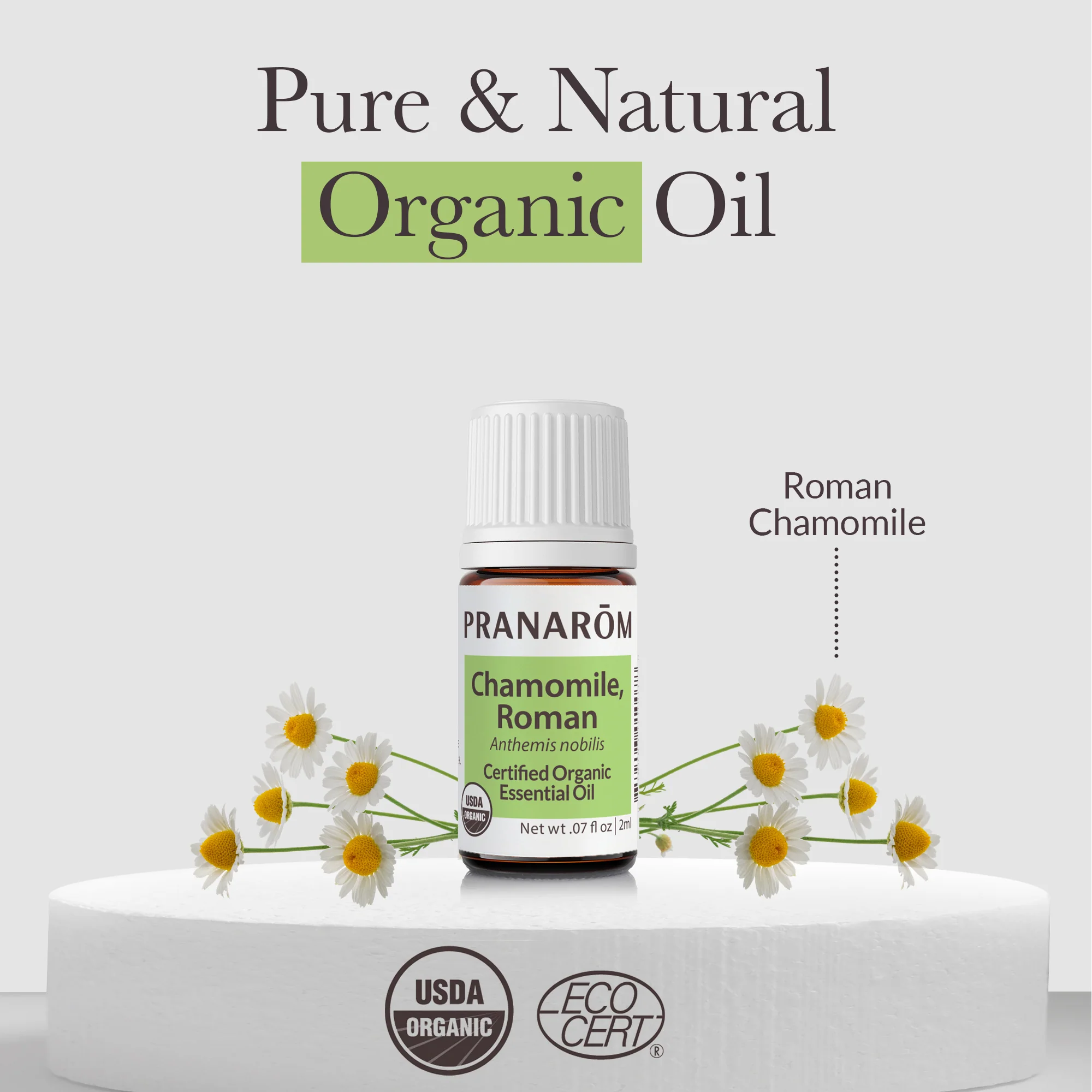 Chamomile, Roman Essential Oil - Bio - Image 3