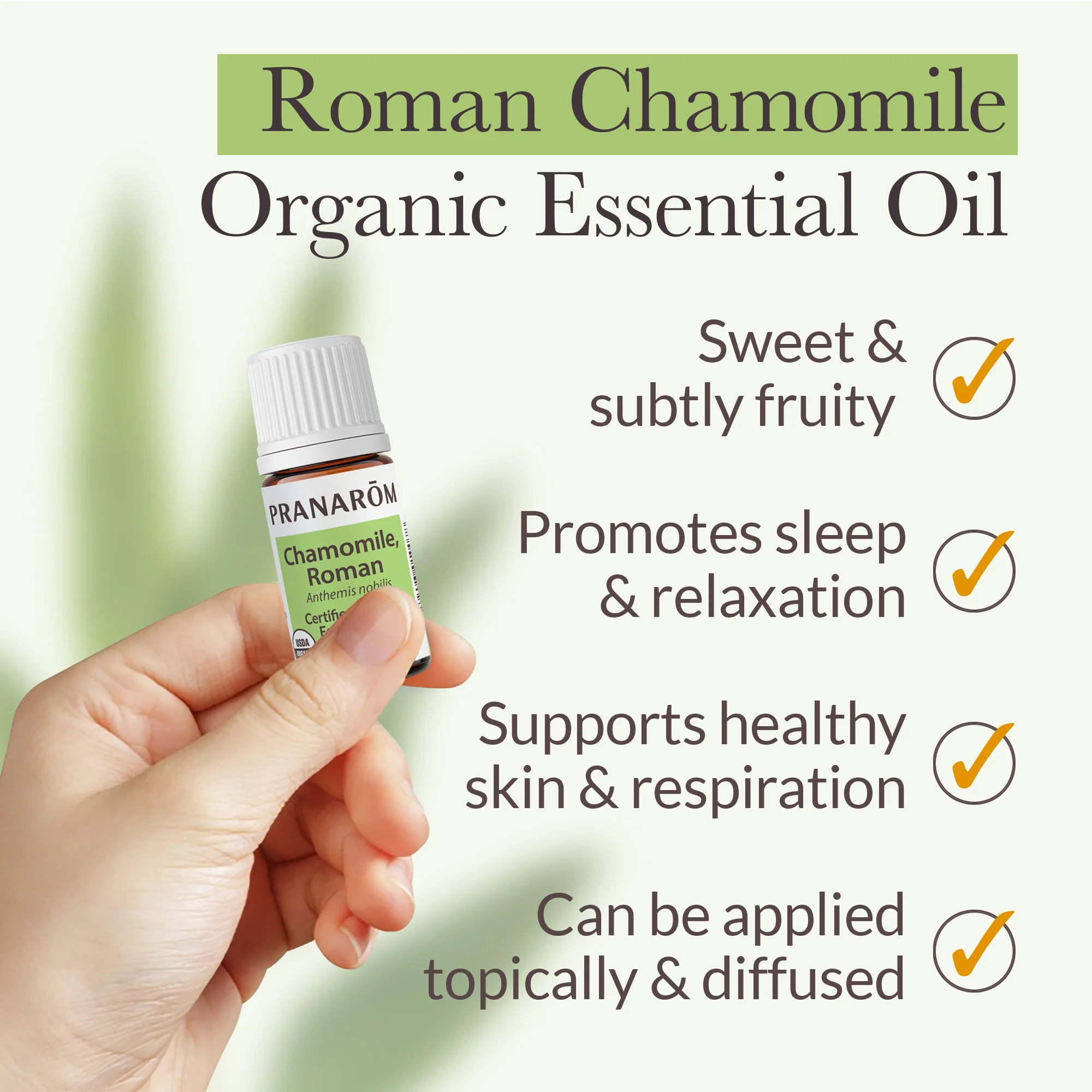 Chamomile, Roman Essential Oil - Bio - Image 4