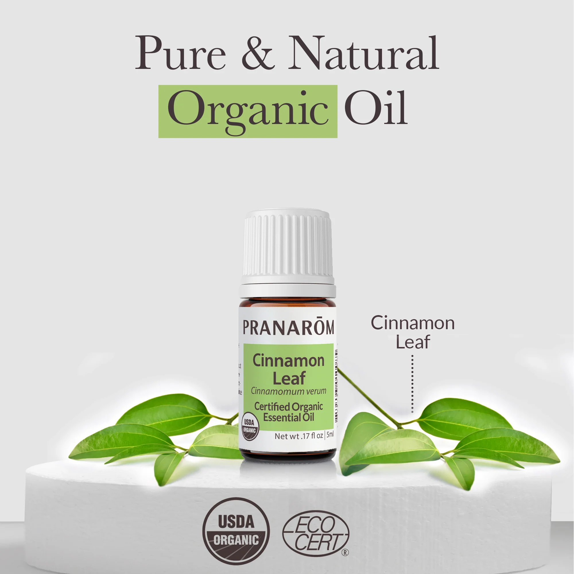 Cinnamon Leaf Essential Oil - Bio - Image 3