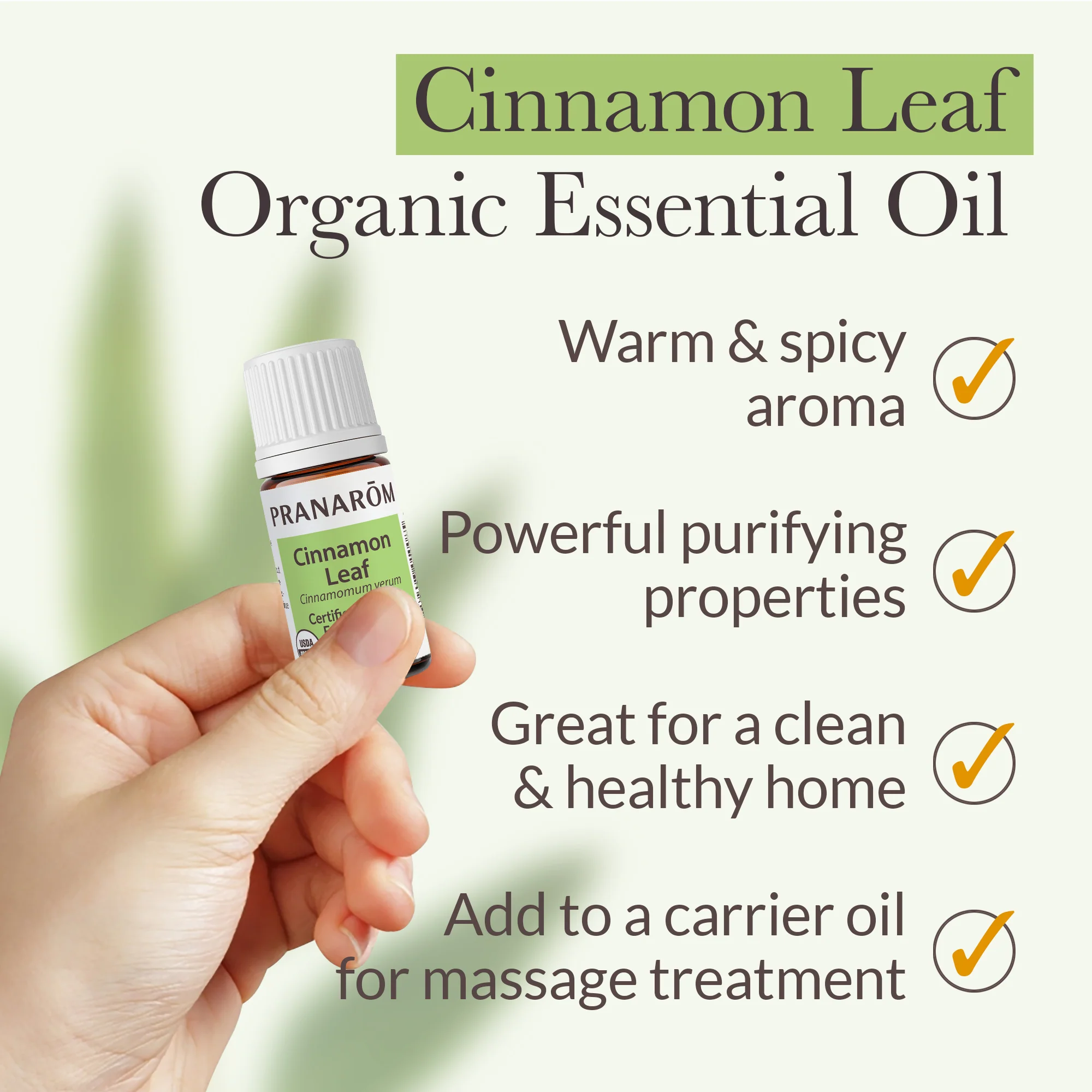 Cinnamon Leaf Essential Oil - Bio - Image 4