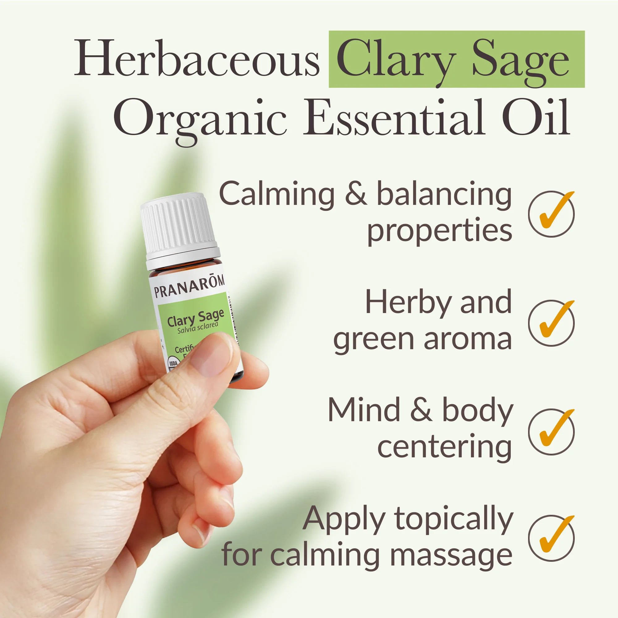 Clary Sage Essential Oil - Bio - Image 4