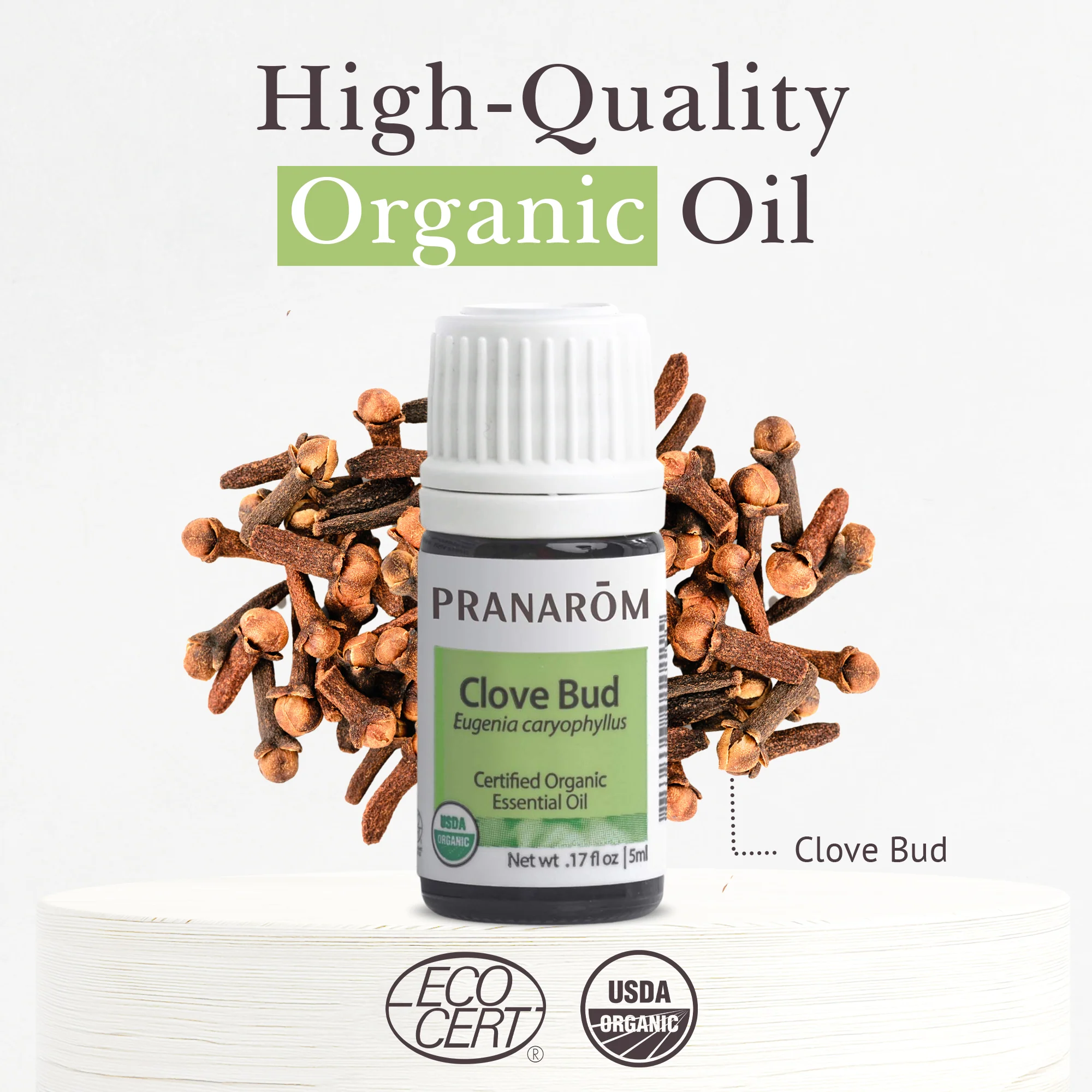 Clove Bud Essential Oil - Bio - Image 3