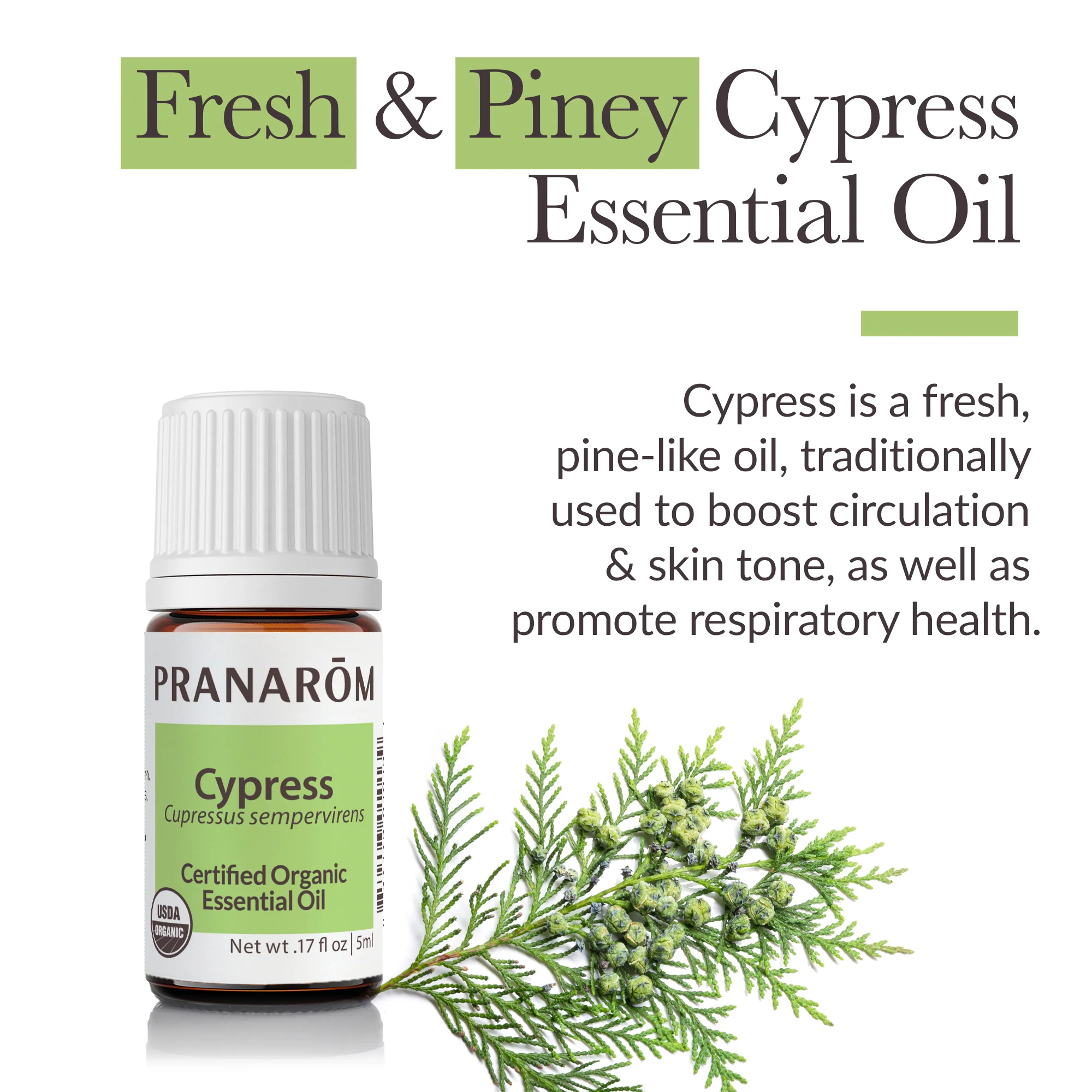 Cypress Essential Oil - Bio - Image 2
