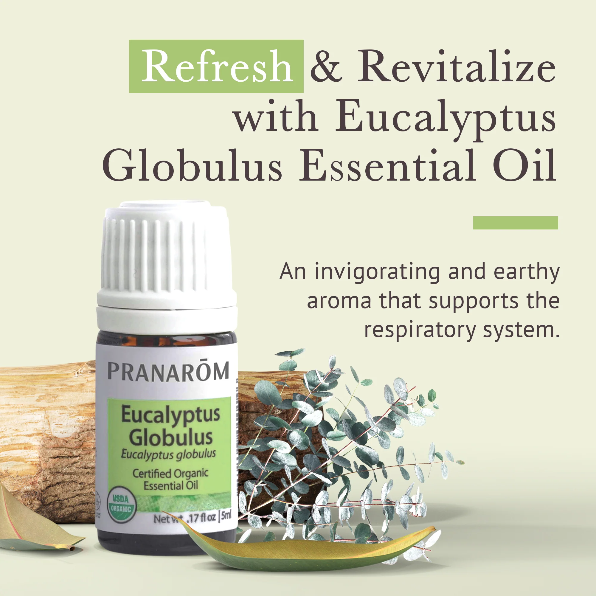 Eucalyptus Globulus Essential Oil - Bio - Image 2