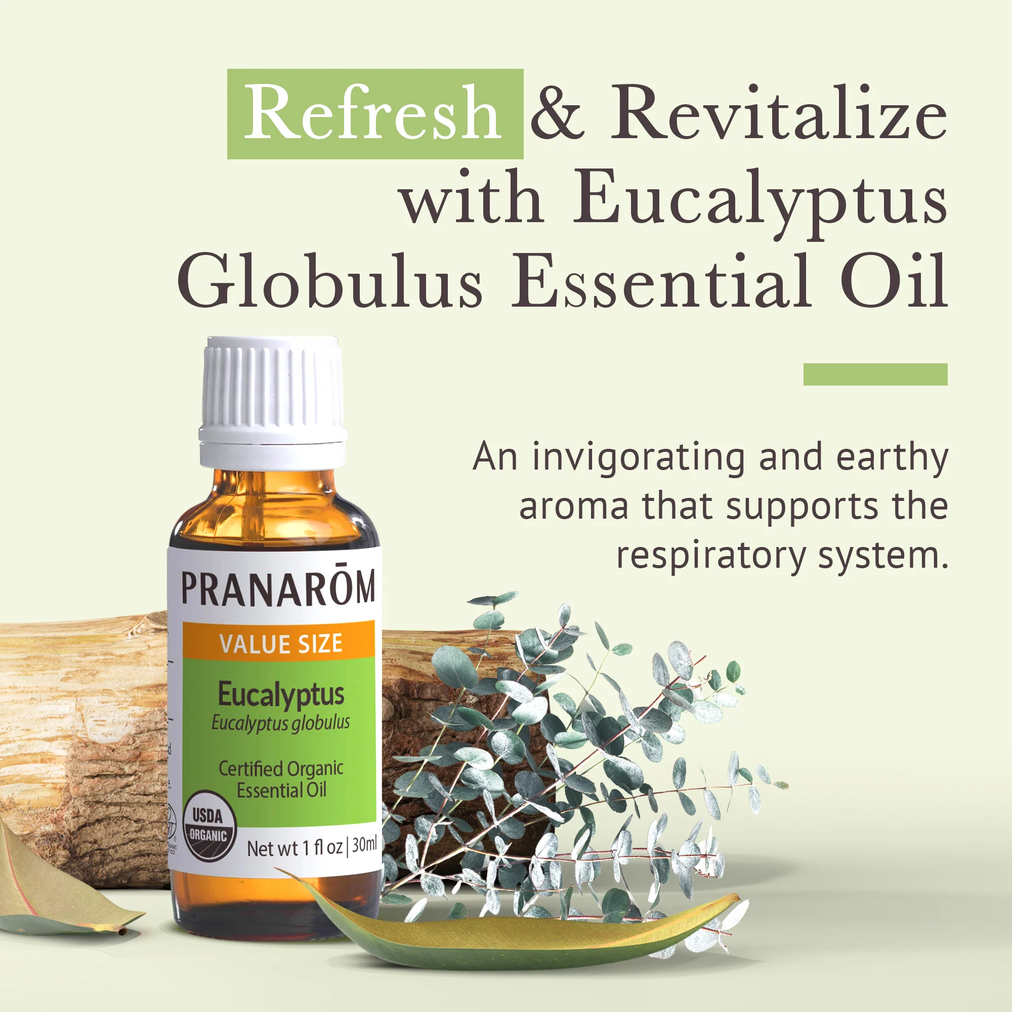 Eucalyptus Globulus Essential Oil - Bio - Image 2