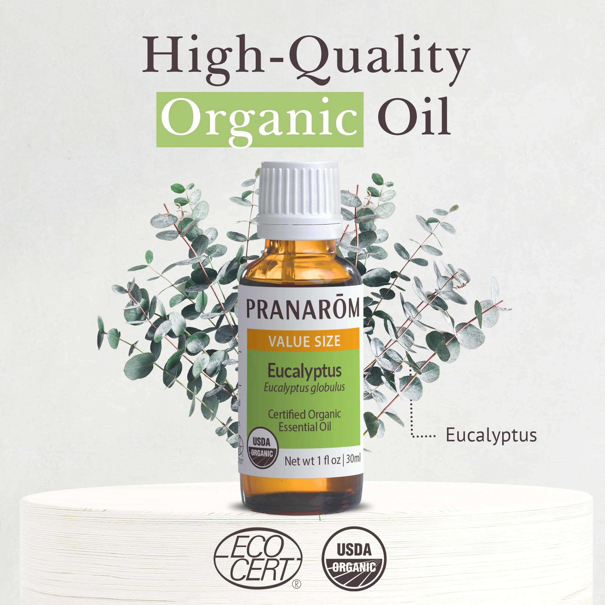 Eucalyptus Globulus Essential Oil - Bio - Image 3