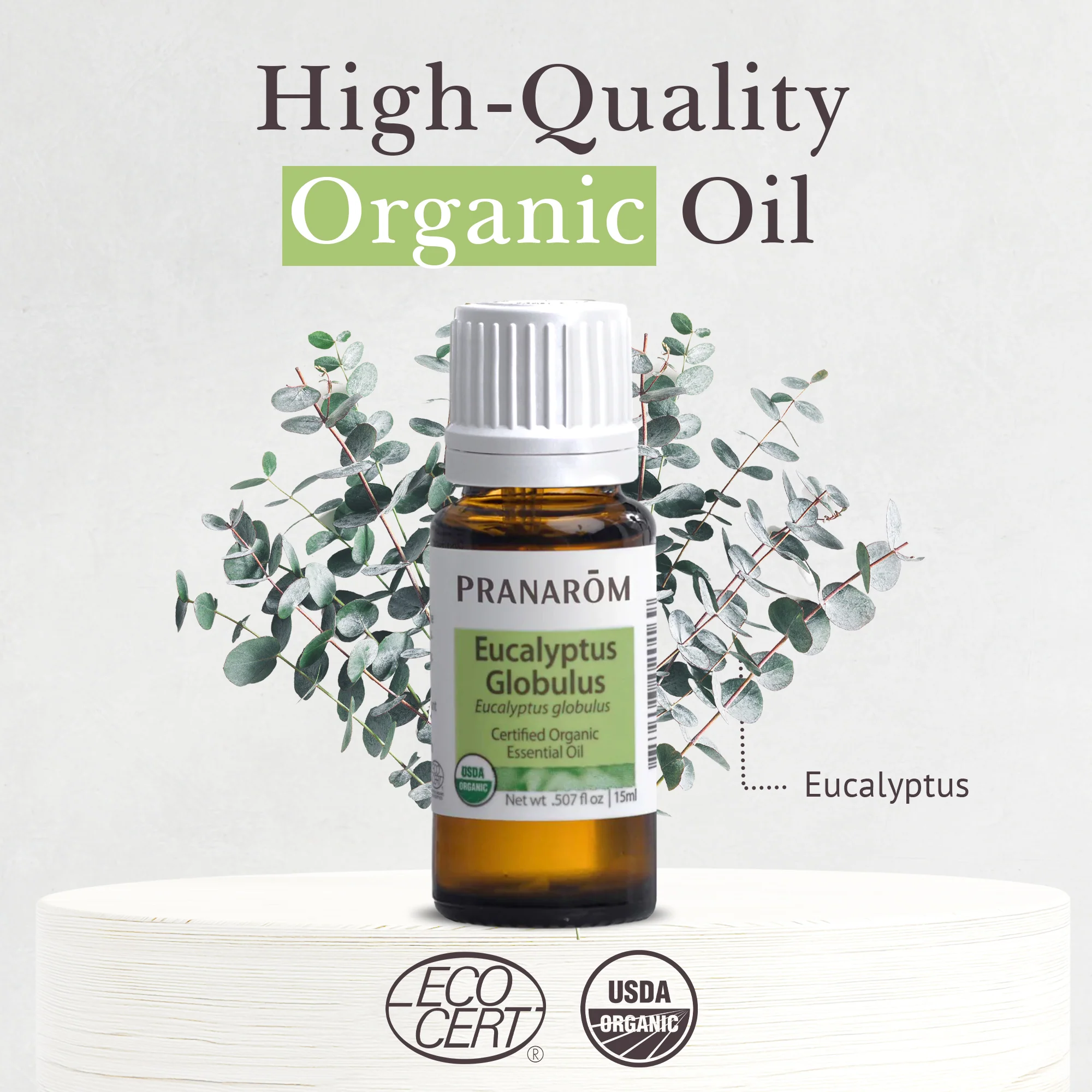 Eucalyptus Globulus Essential Oil - Bio - Image 3