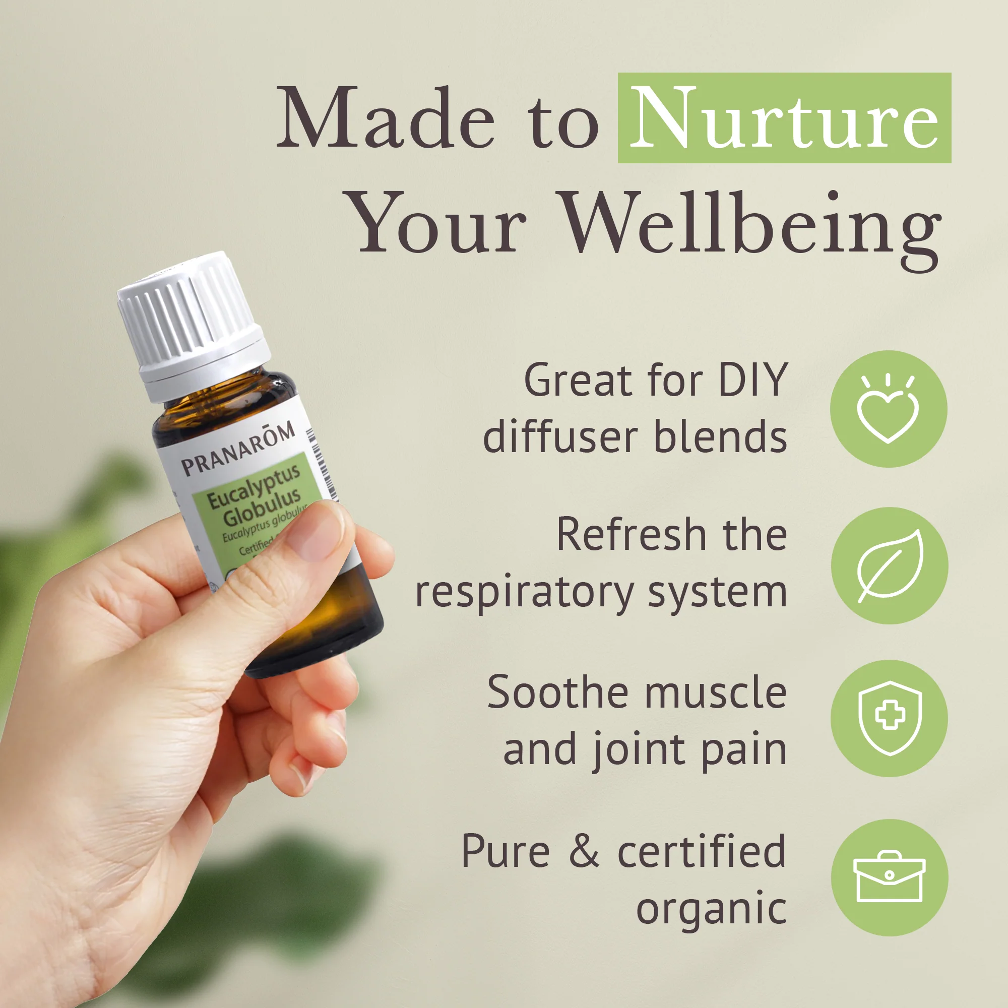 Eucalyptus Globulus Essential Oil - Bio - Image 4