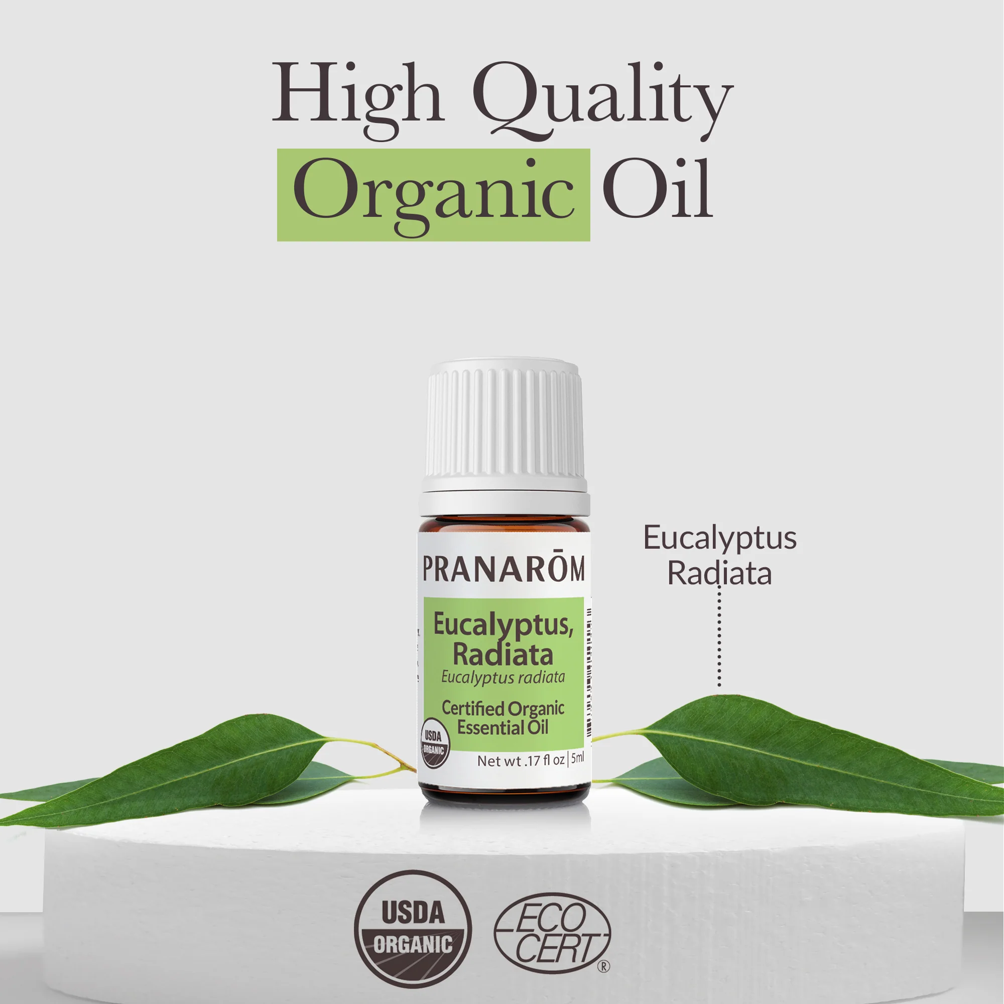 Eucalyptus Radiata Essential Oil - Bio - Image 4