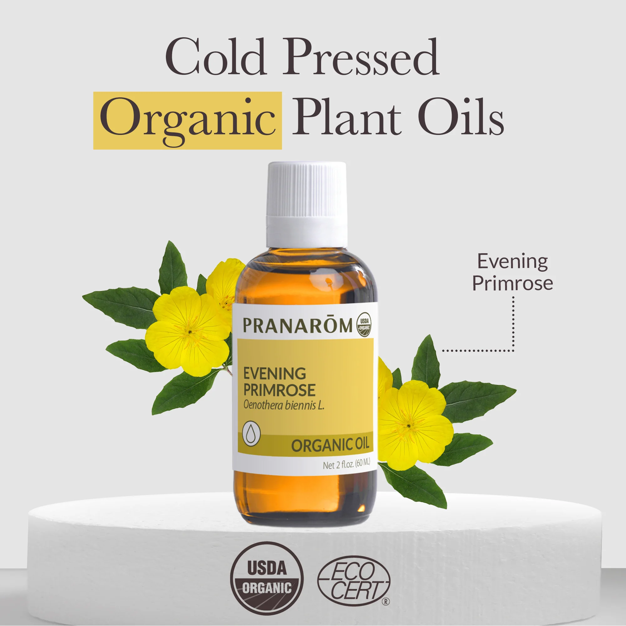 Evening Primrose Virgin Plant Oil - Bio - Image 3