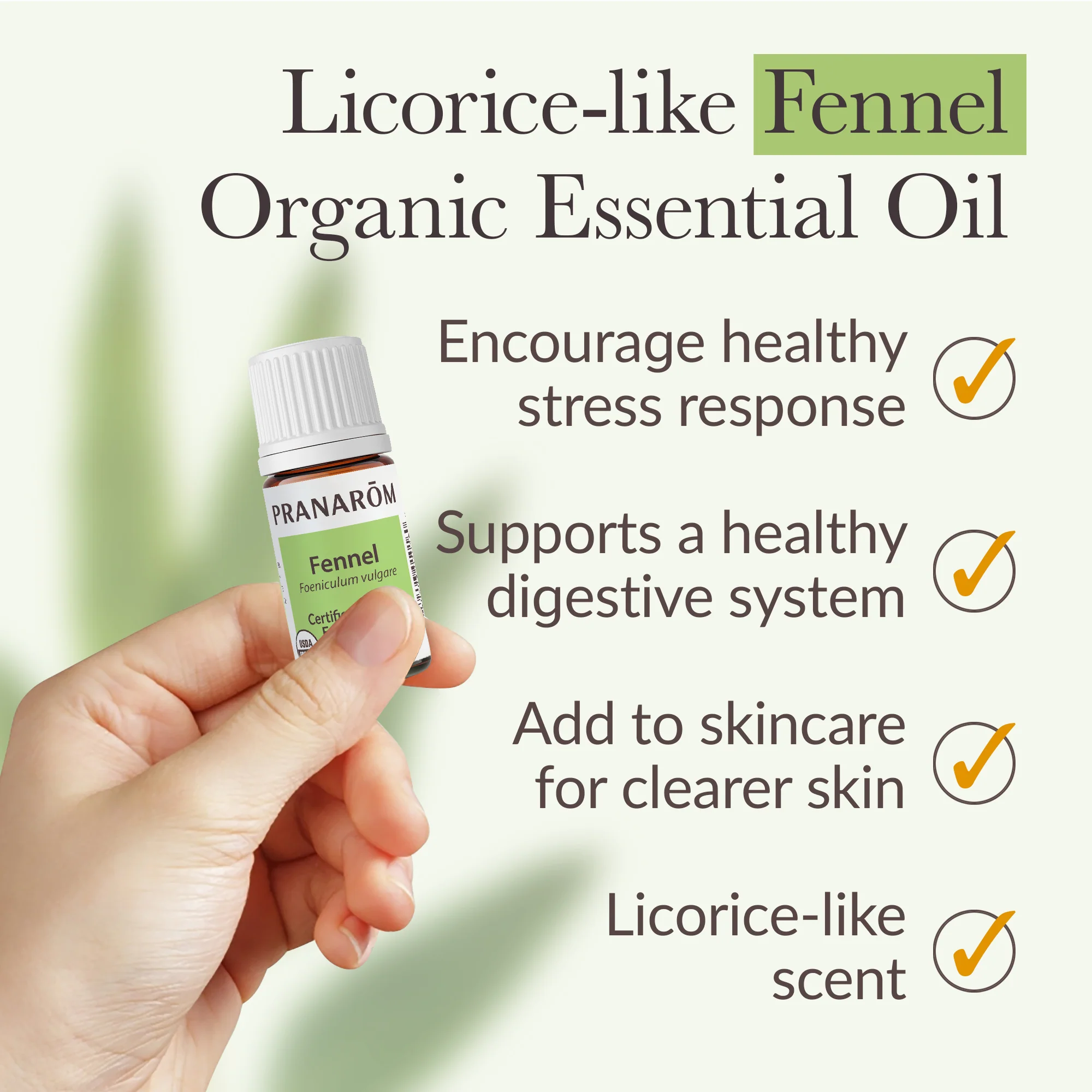 Fennel Essential Oil - Bio - Image 4