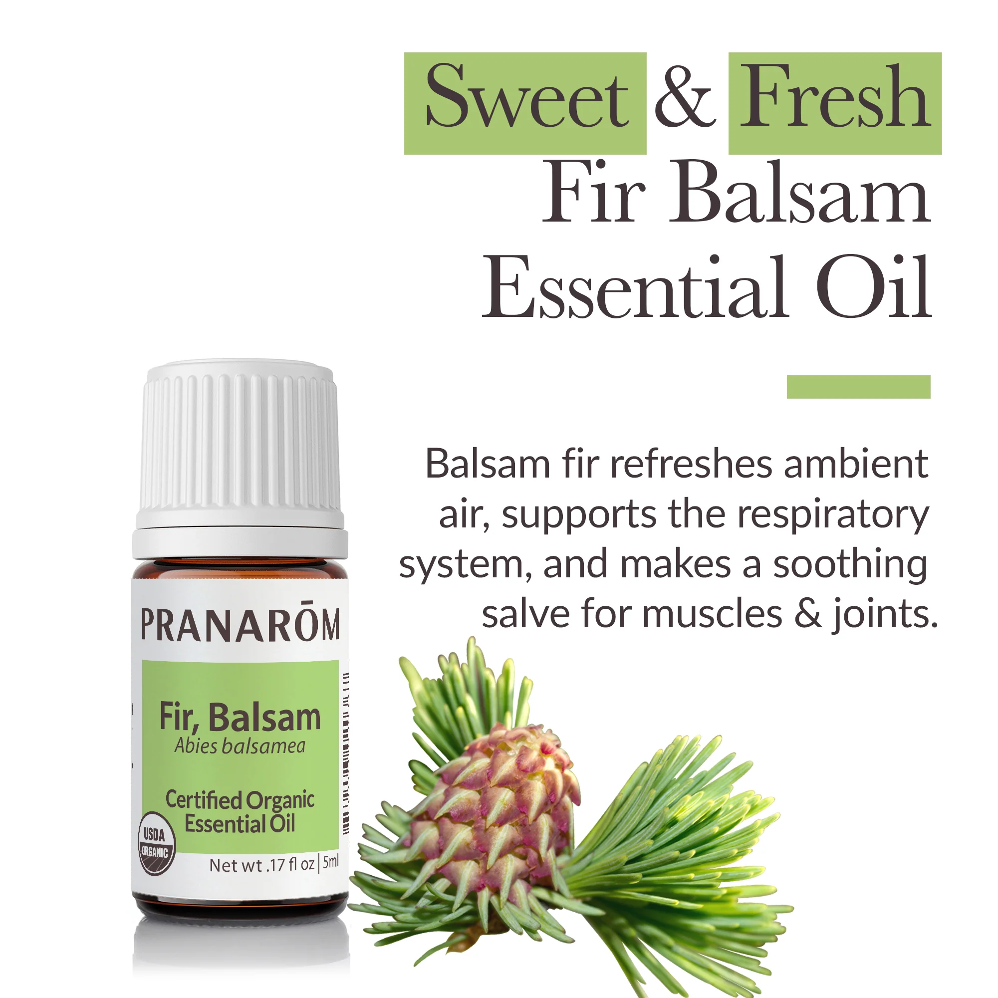Fir, Balsam Essential Oil - Bio - Image 2