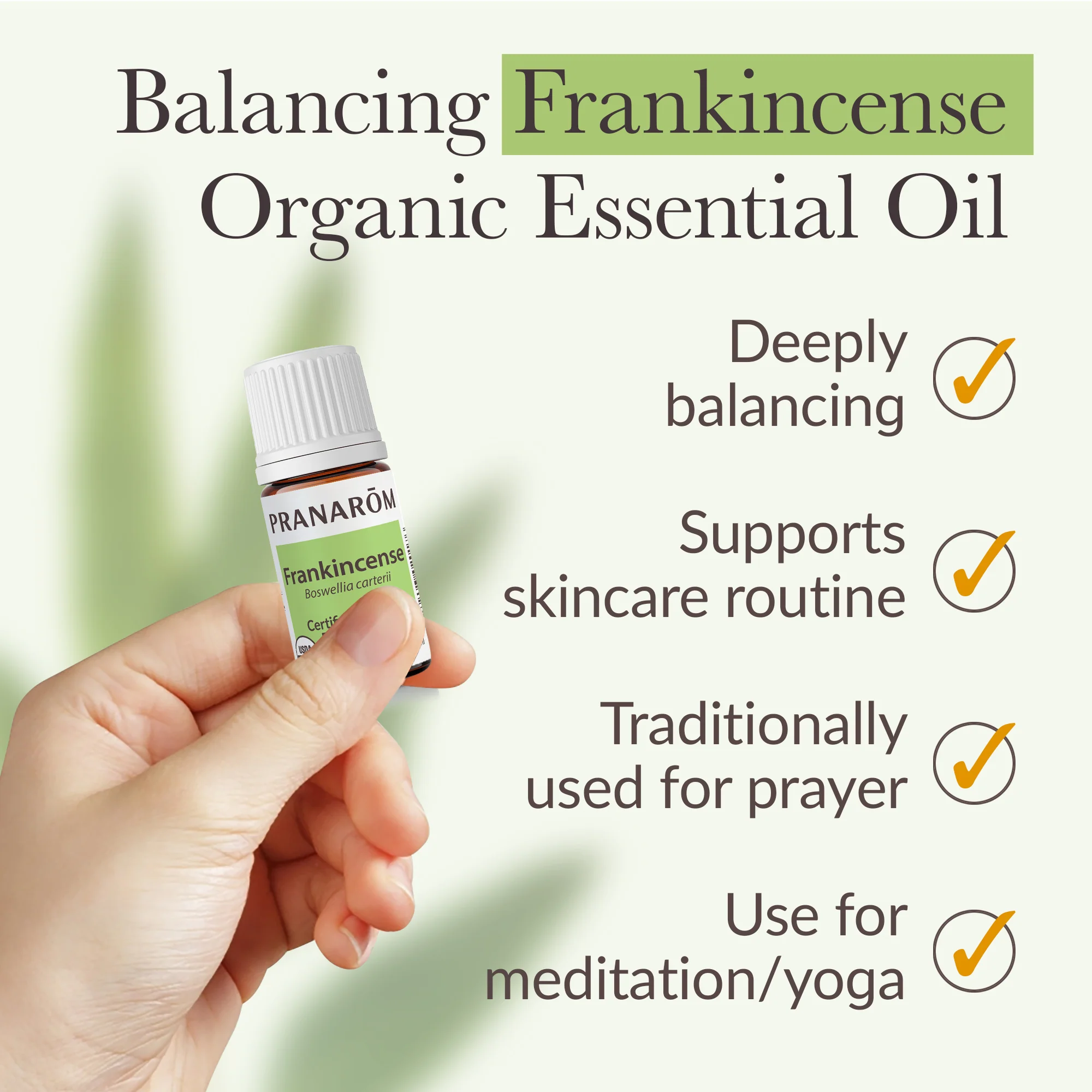 Frankincense Essential Oil - Bio - Image 4