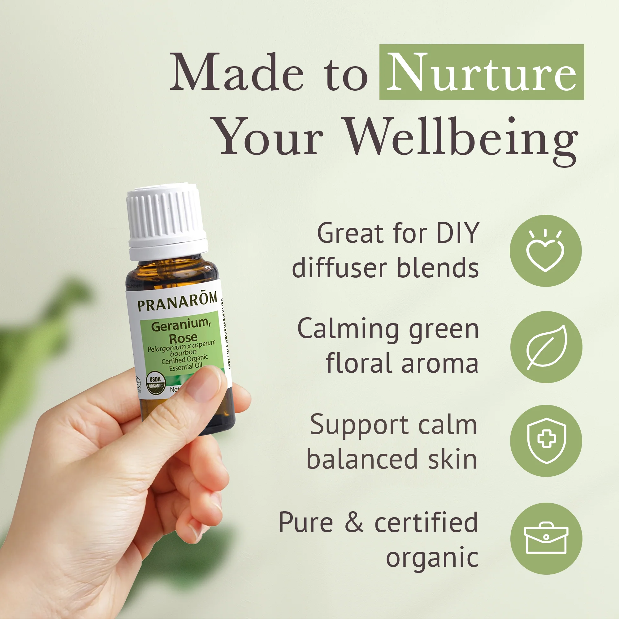 Geranium, Rose Essential Oil - Organic - Image 4