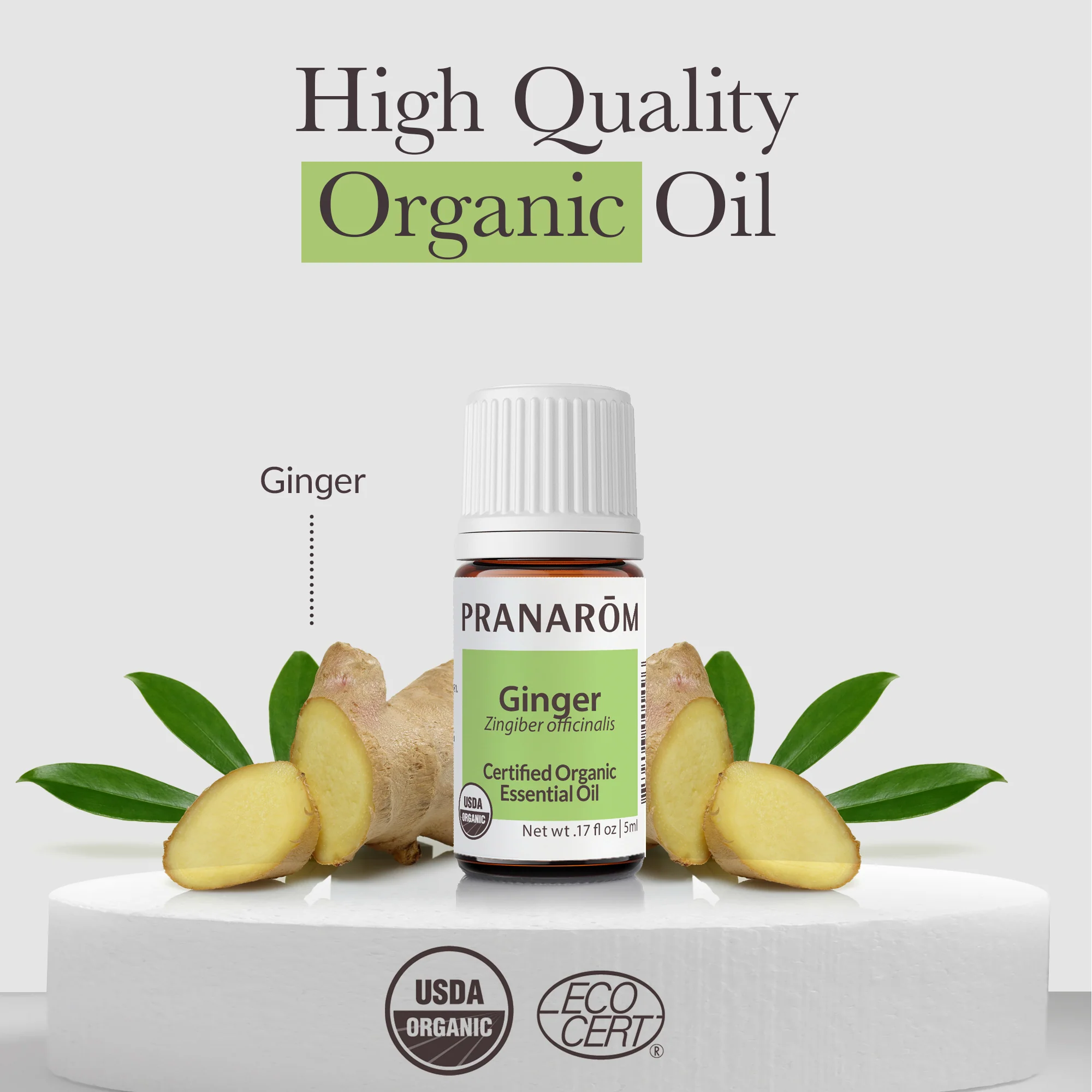Ginger Essential Oil - Bio - Image 3