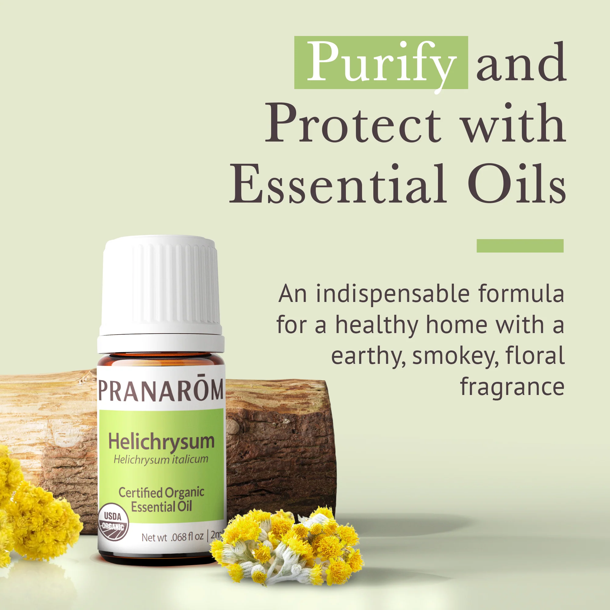 Helichrysum Essential Oil - Bio - Image 3