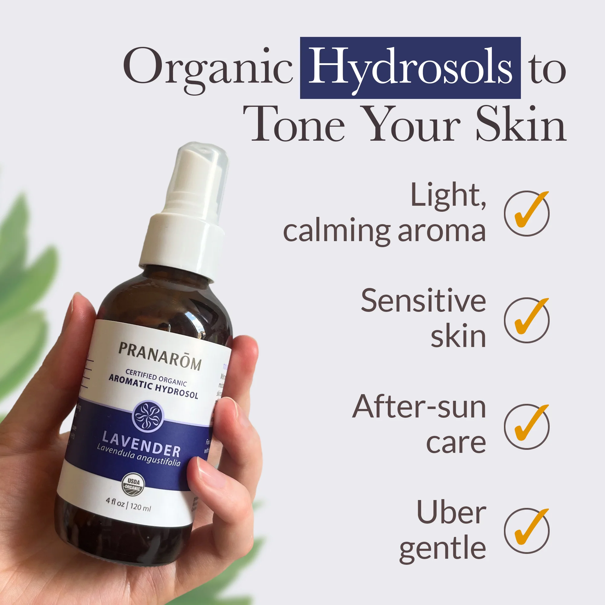 Lavender Hydrosol - Image 5