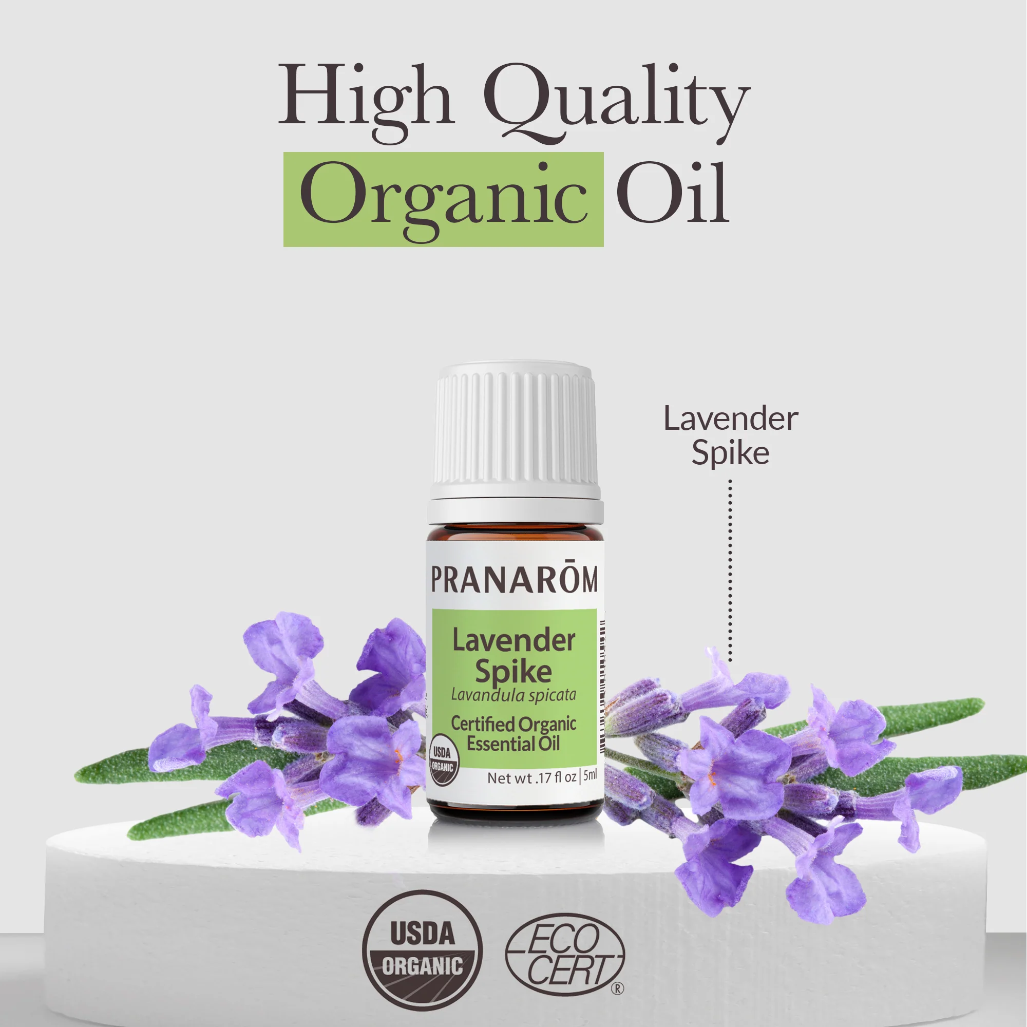 Lavender, Spike Essential Oil - Bio - Image 3