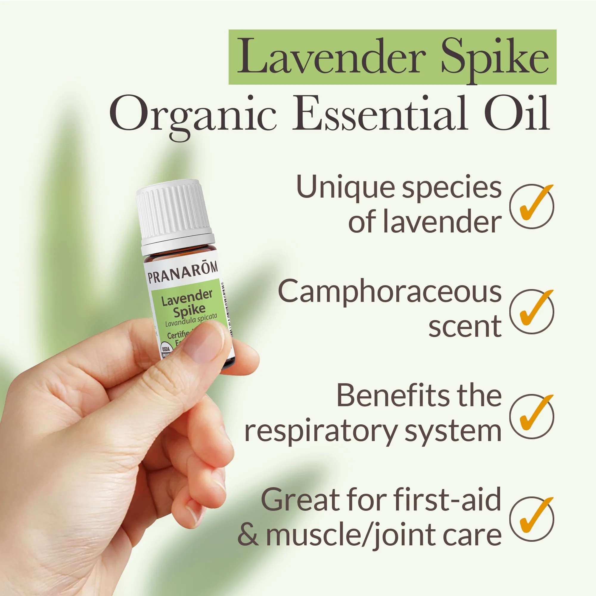 Lavender, Spike Essential Oil - Bio - Image 4