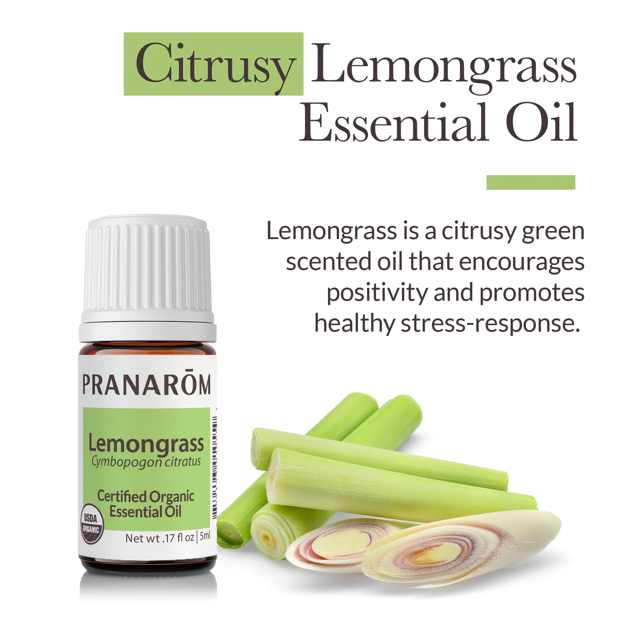 Lemongrass Essential Oil - Bio - Image 3