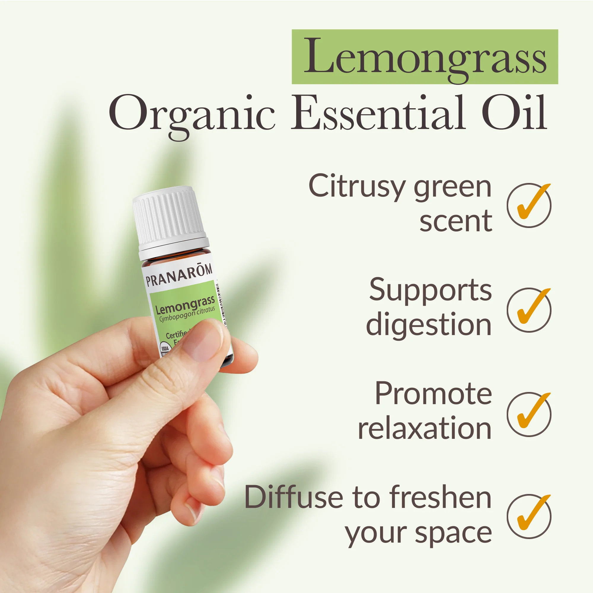 Lemongrass Essential Oil - Bio - Image 5