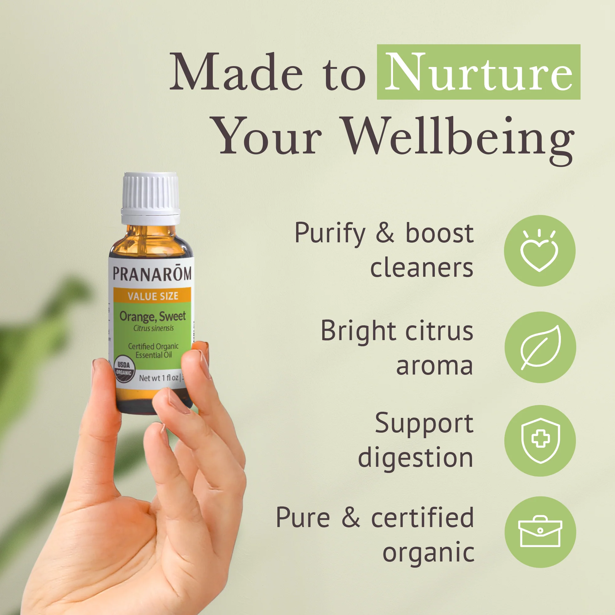 Orange, Sweet Essential Oil - Bio - Image 4
