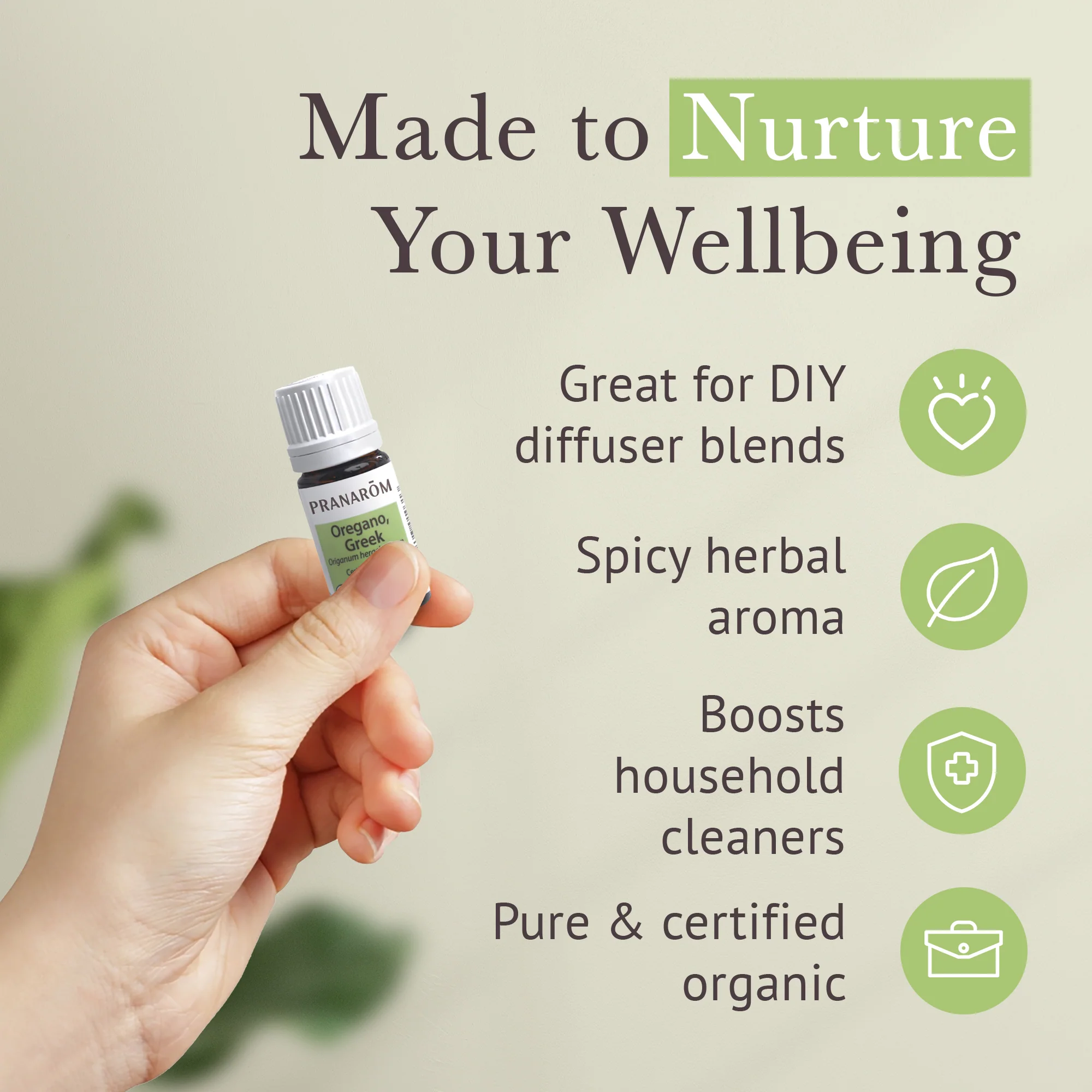 Oregano, Greek Essential Oil - Bio - Image 4