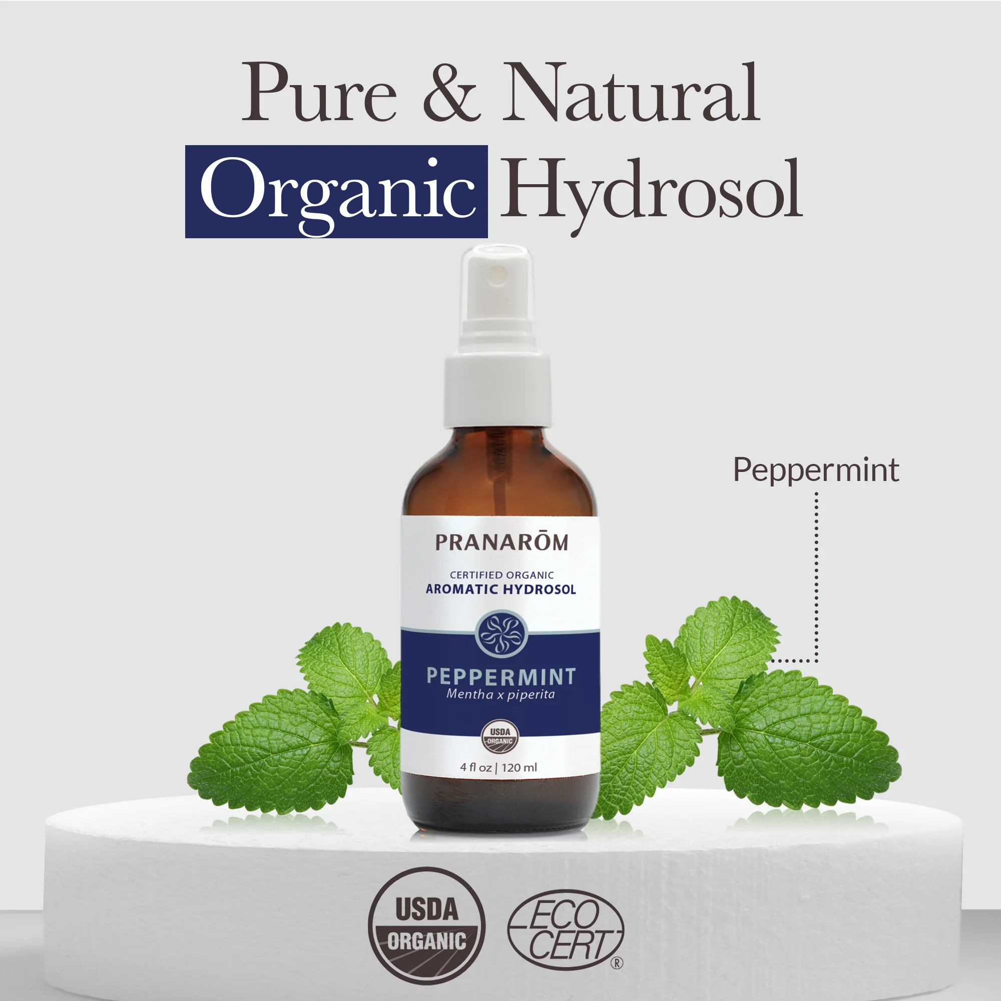 Peppermint Hydrosol - Bio - Image 3