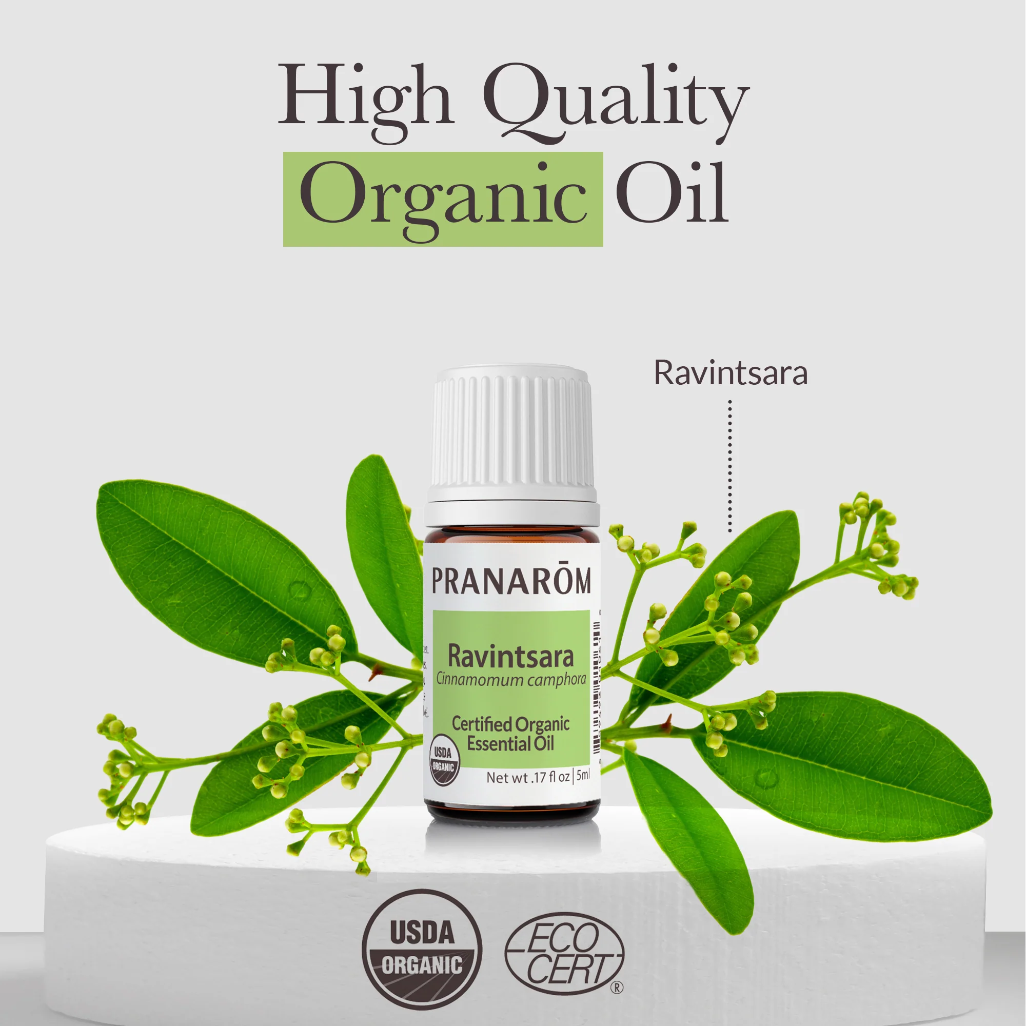 Ravintsara ct 1,8 cineole Essential Oil - Bio - Image 3