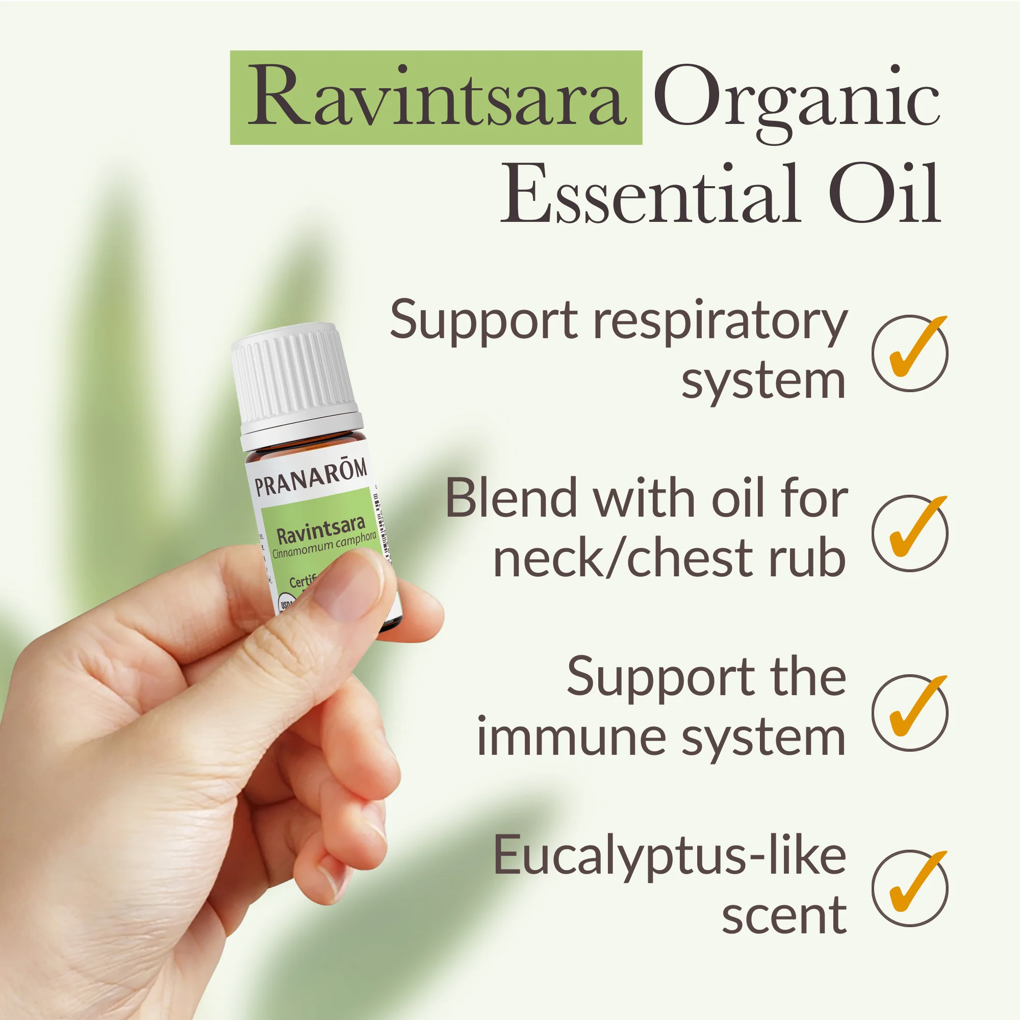 Ravintsara ct 1,8 cineole Essential Oil - Bio - Image 4