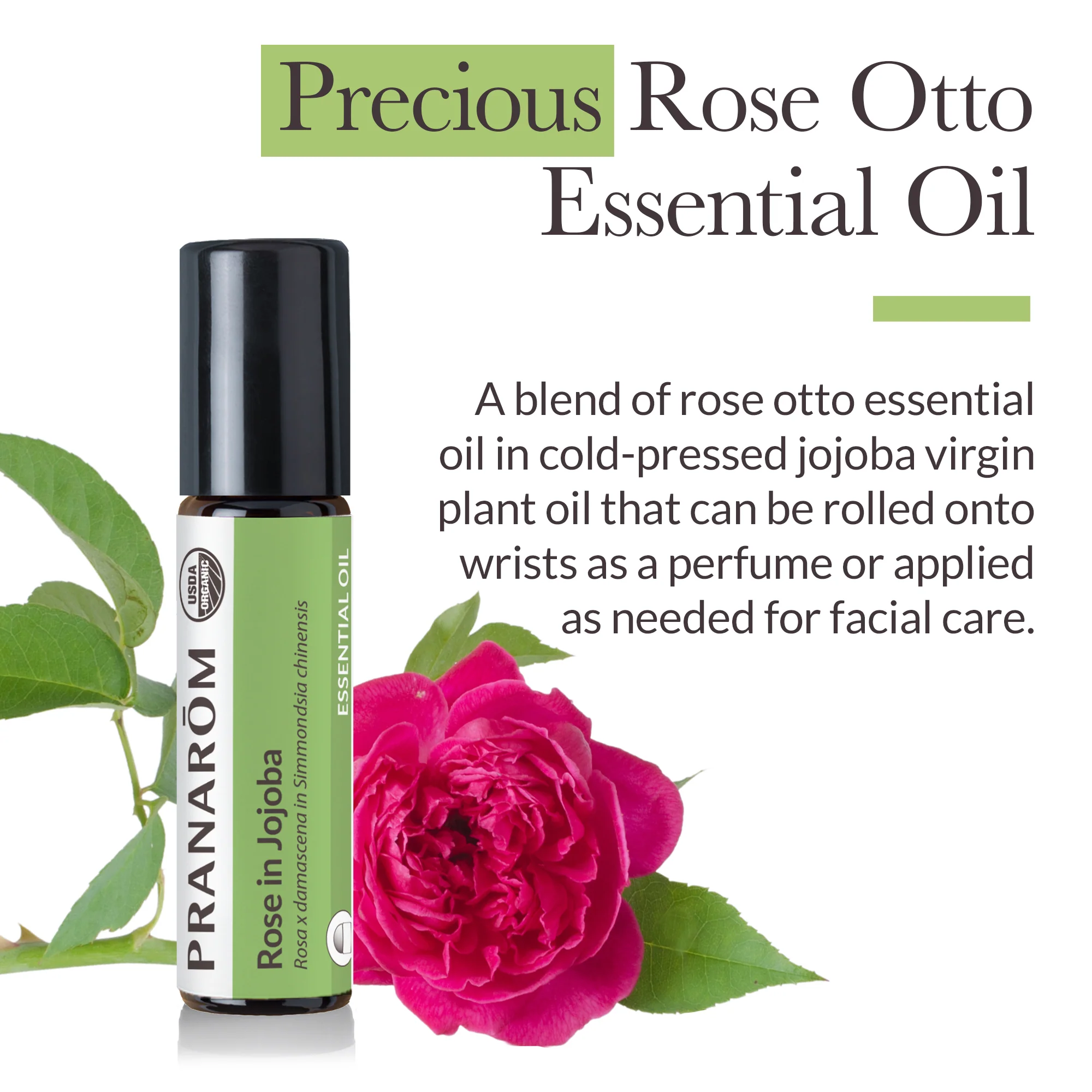 Rose Otto Essential Oil in Jojoba - Bio - Image 2