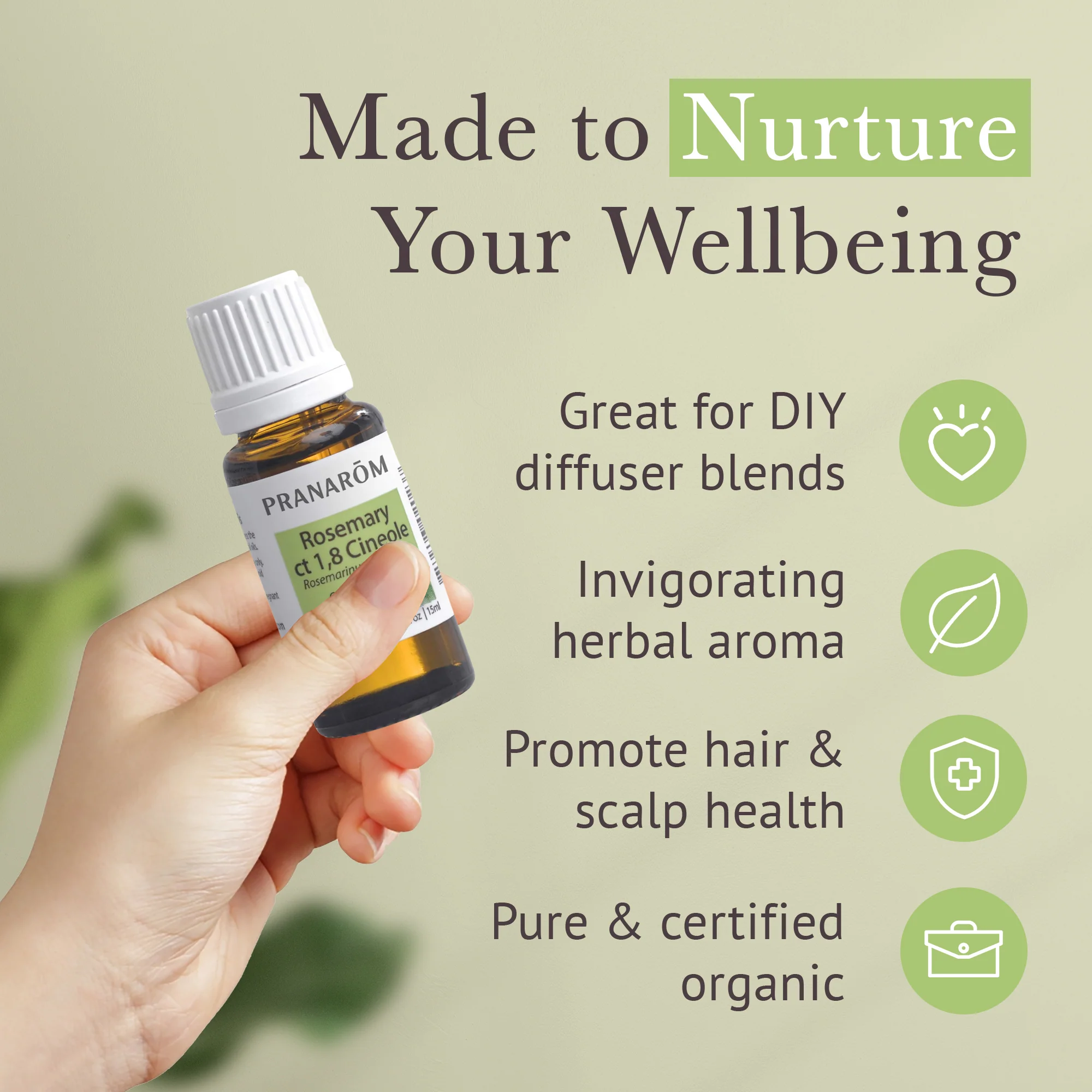 Rosemary ct 1,8 cineole Essential Oil - Bio - Image 4