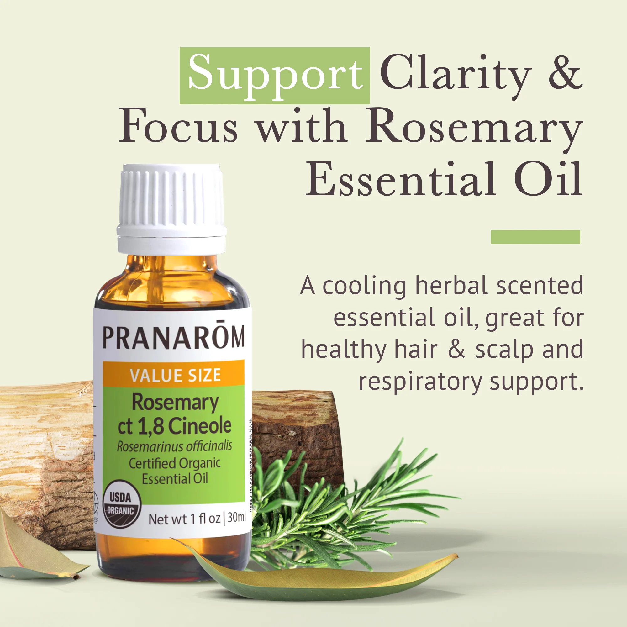 Rosemary ct 1,8 cineole Essential Oil - Bio - Image 2