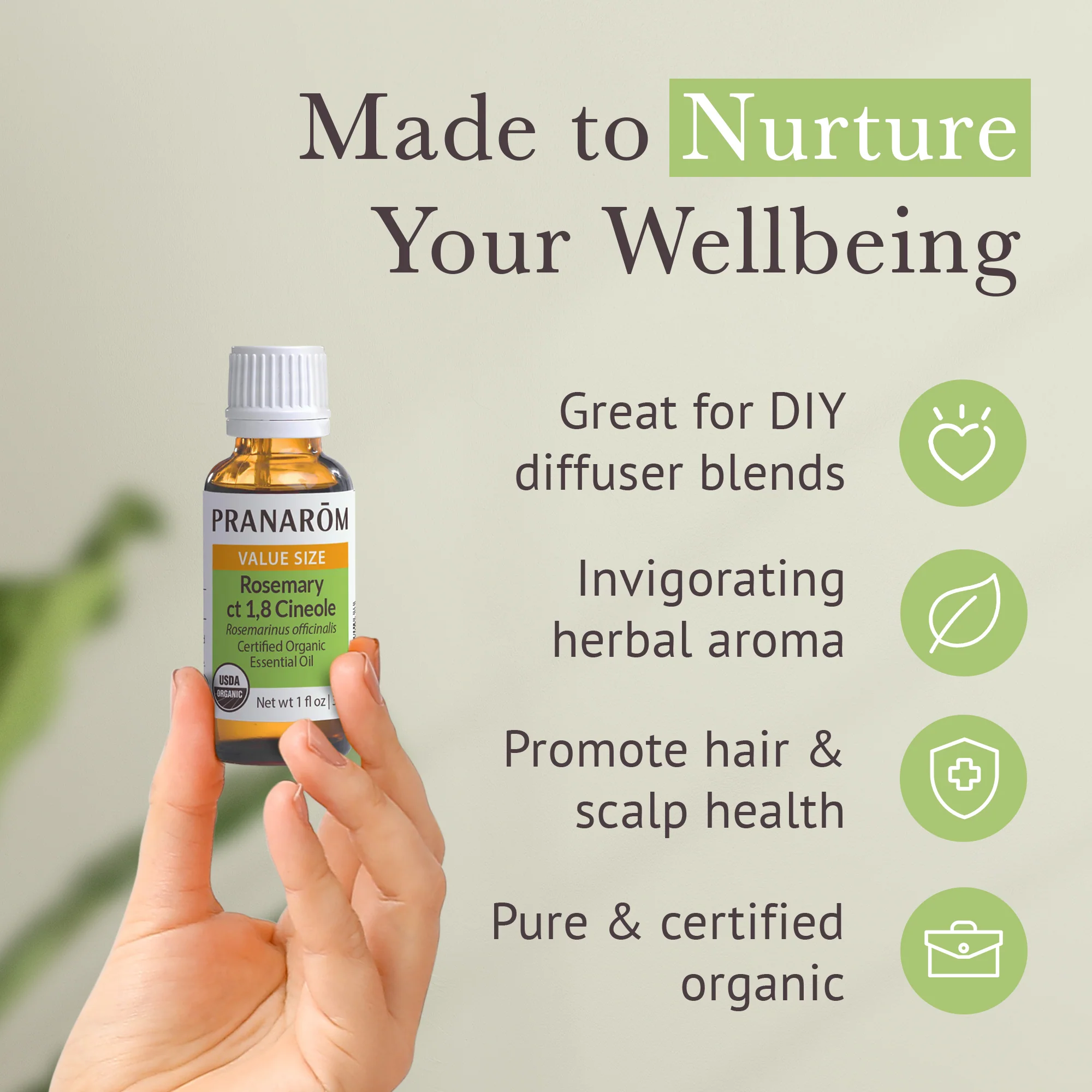 Rosemary ct 1,8 cineole Essential Oil - Bio - Image 4