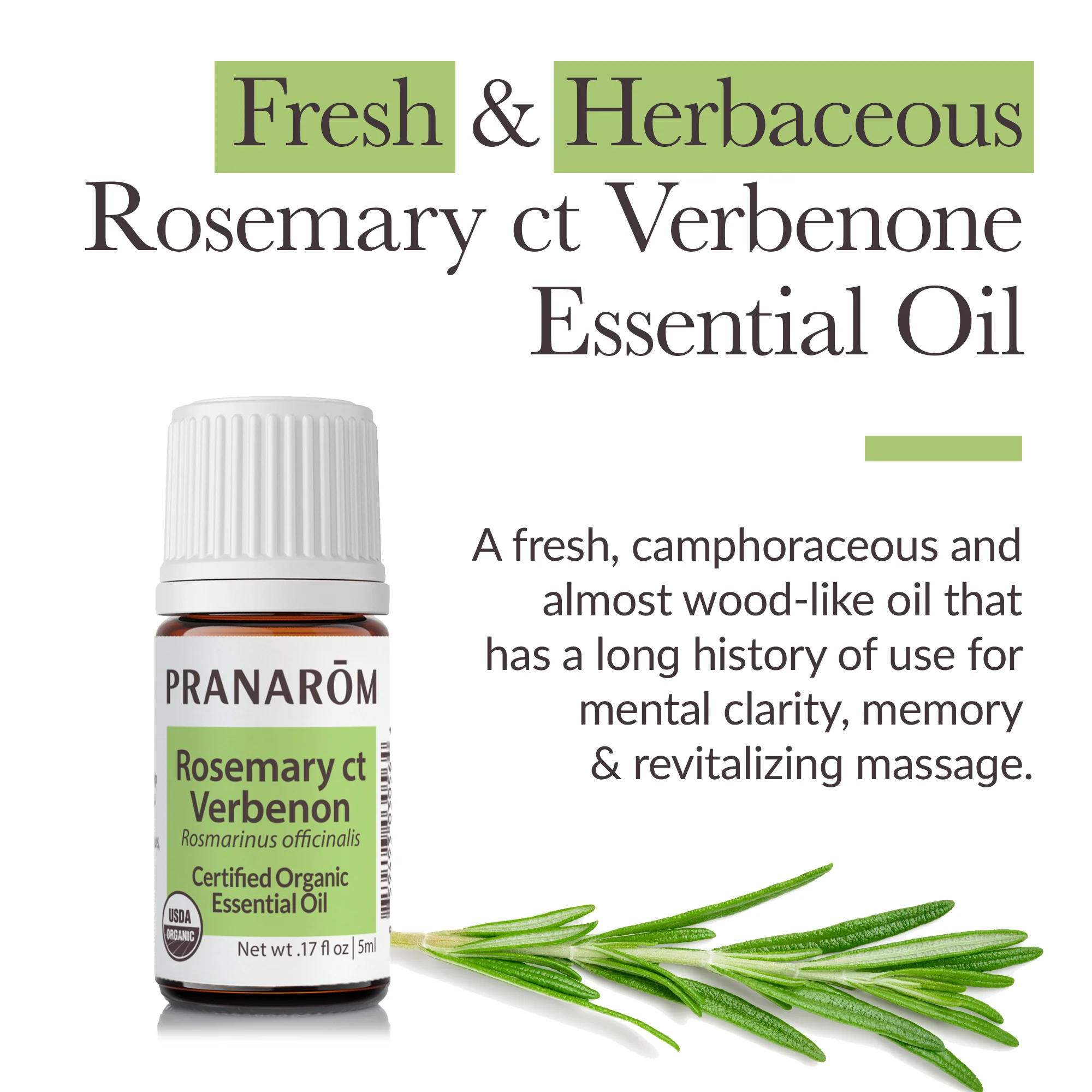 Rosemary ct verbenone Essential Oil - Bio - Image 2