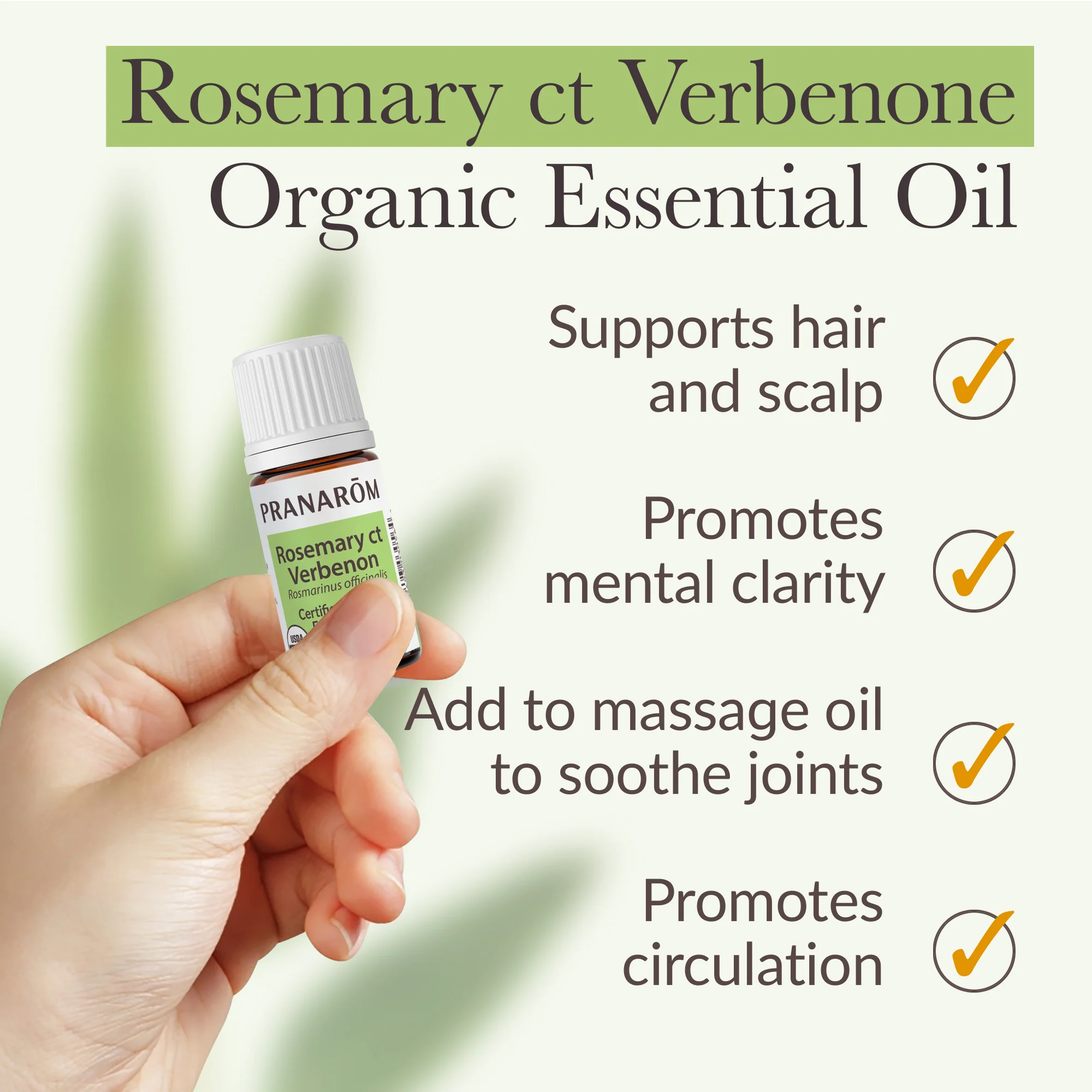 Rosemary ct verbenone Essential Oil - Bio - Image 4