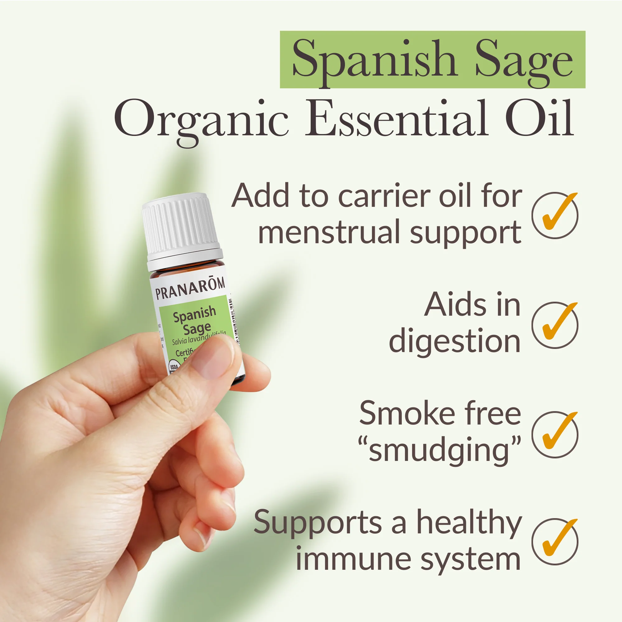 Sage, Spanish Essential Oil - Bio - Image 4