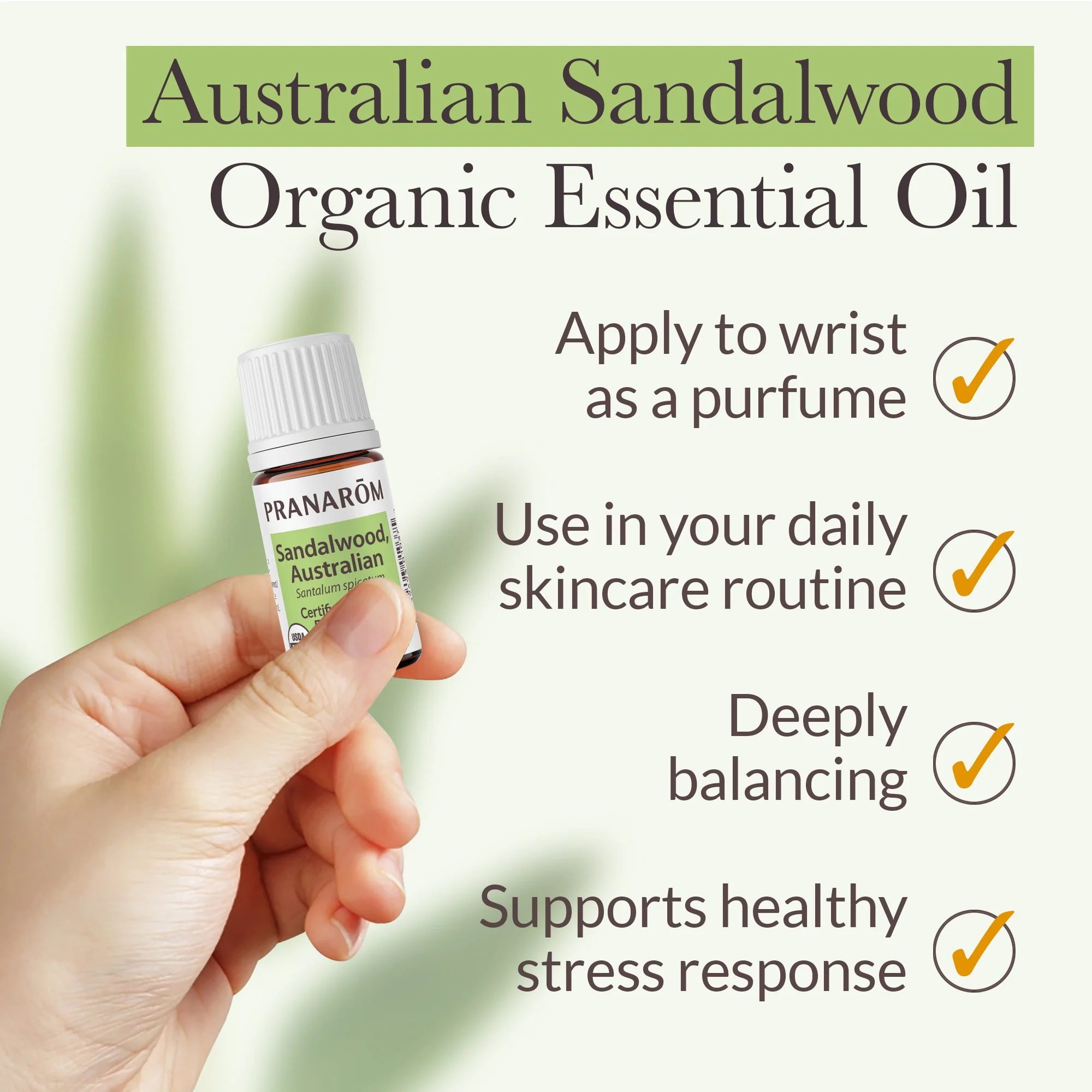 Sandalwood, Australian Essential Oil - Bio - Image 4