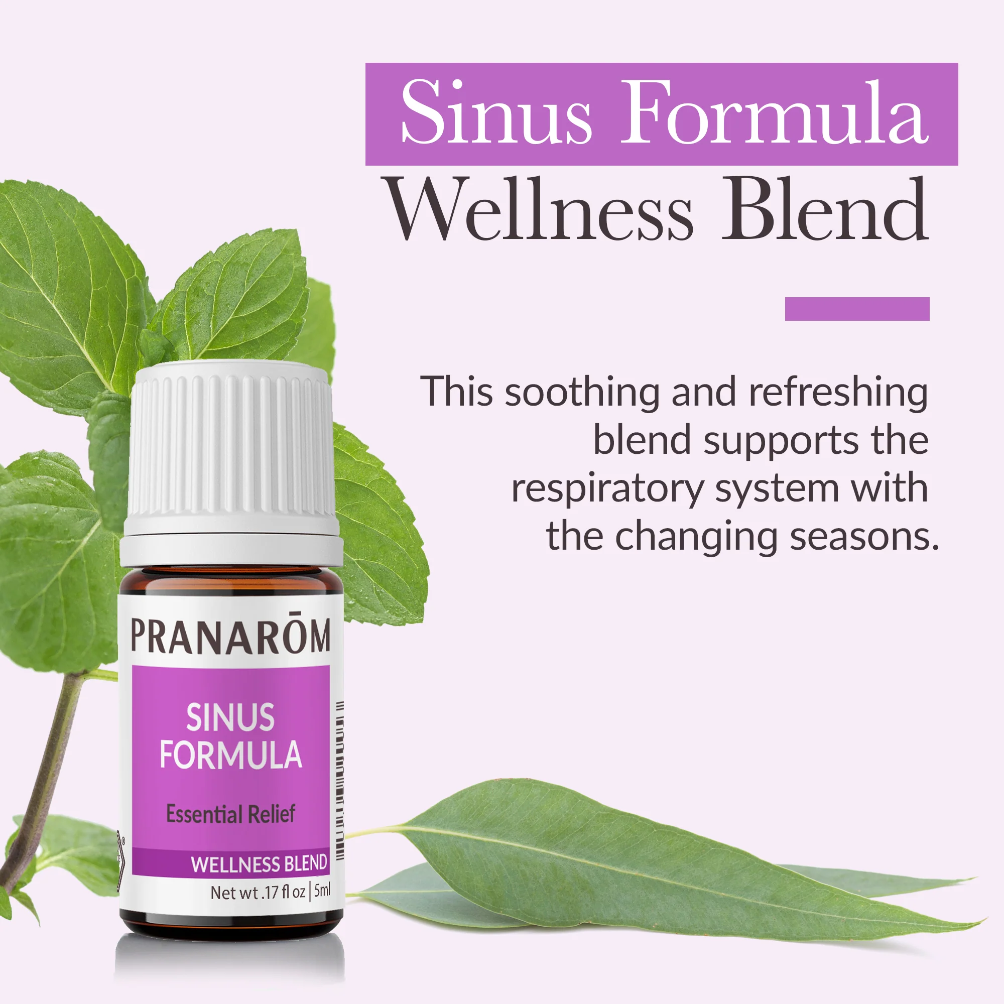 Sinus Formula Essential Oil Wellness Blend - Bio - Image 2