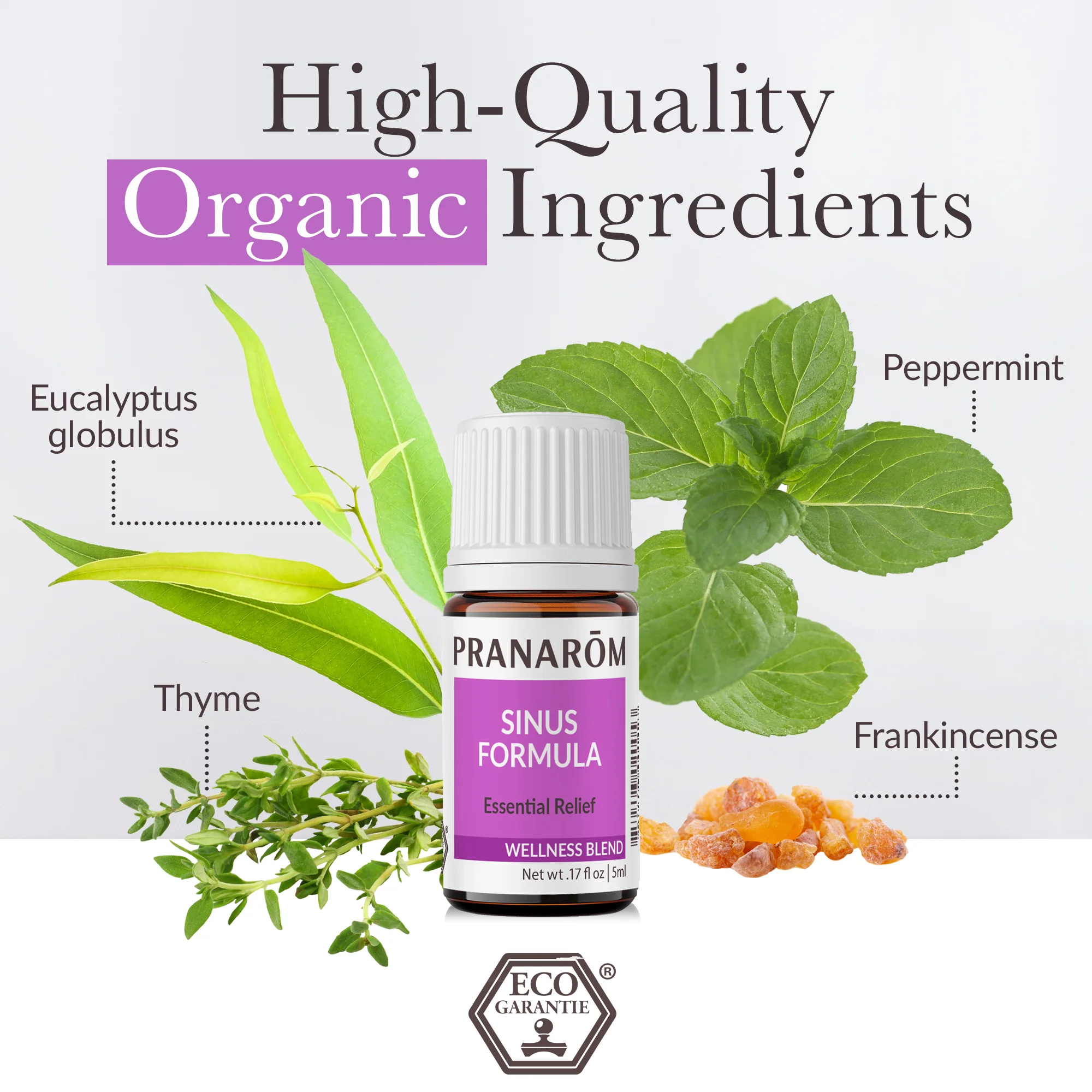 Sinus Formula Essential Oil Wellness Blend - Bio - Image 3