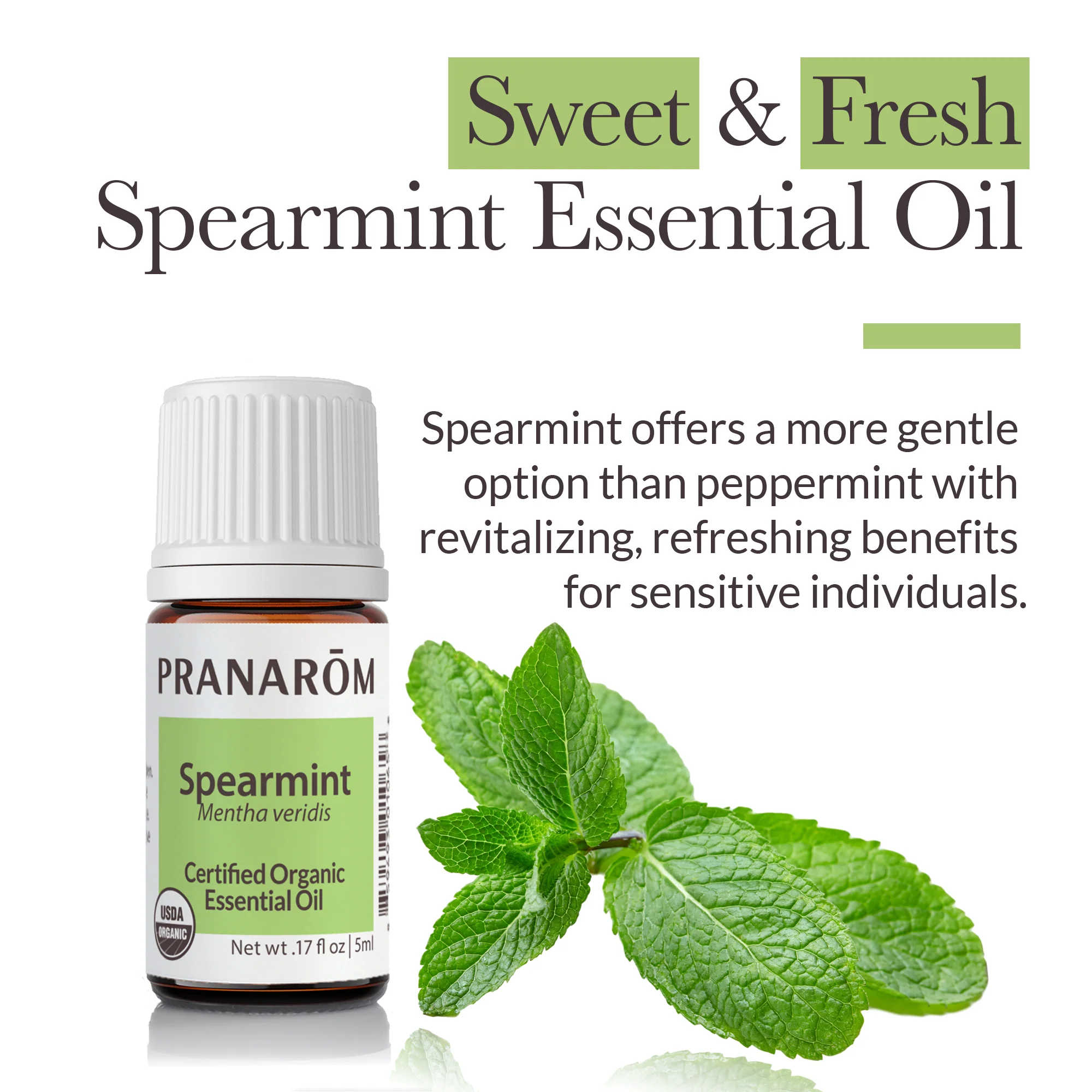 Spearmint Essential Oil - Bio - Image 2
